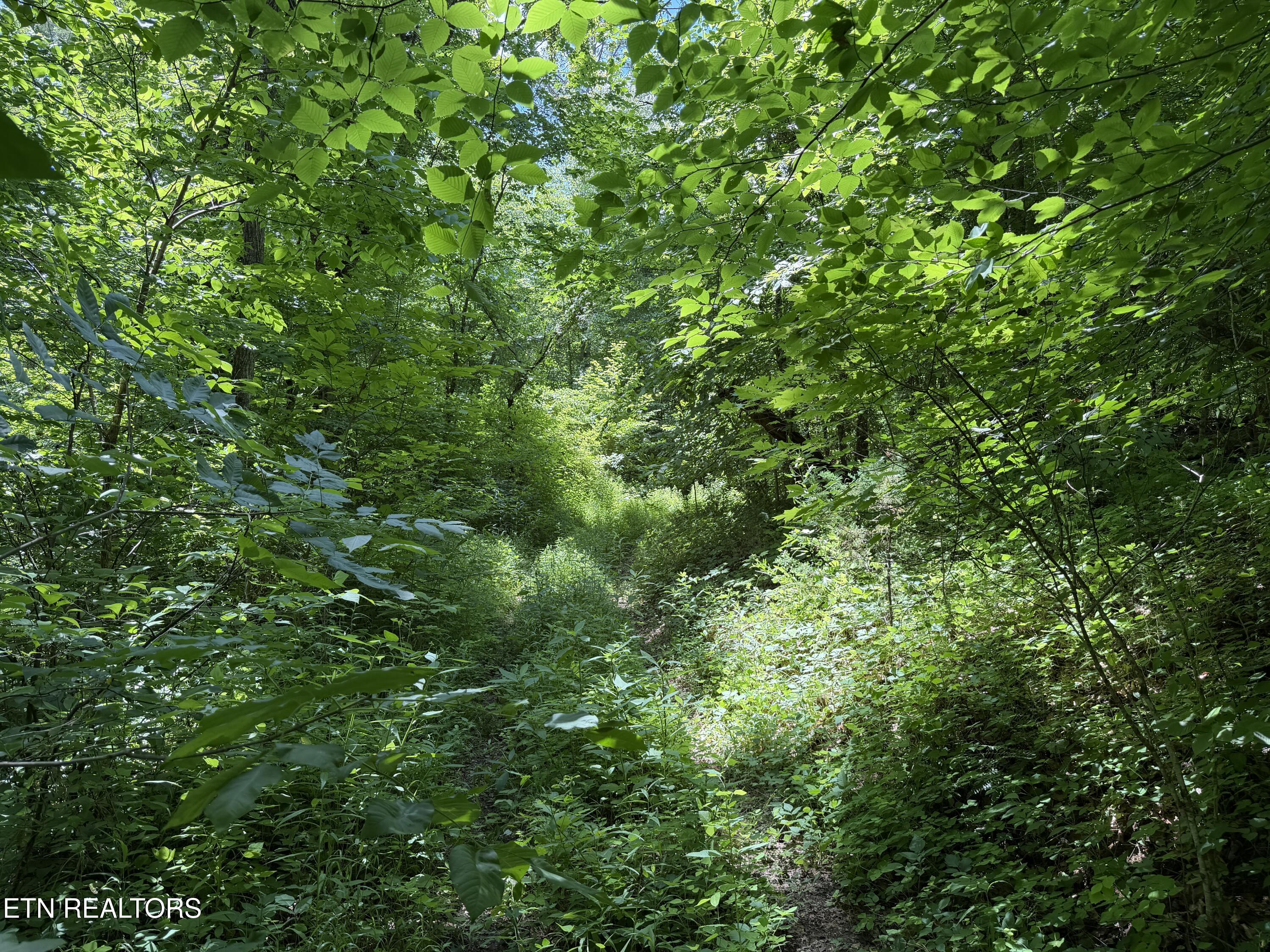 0 Mountain Shores Road Tazewell TN 37879