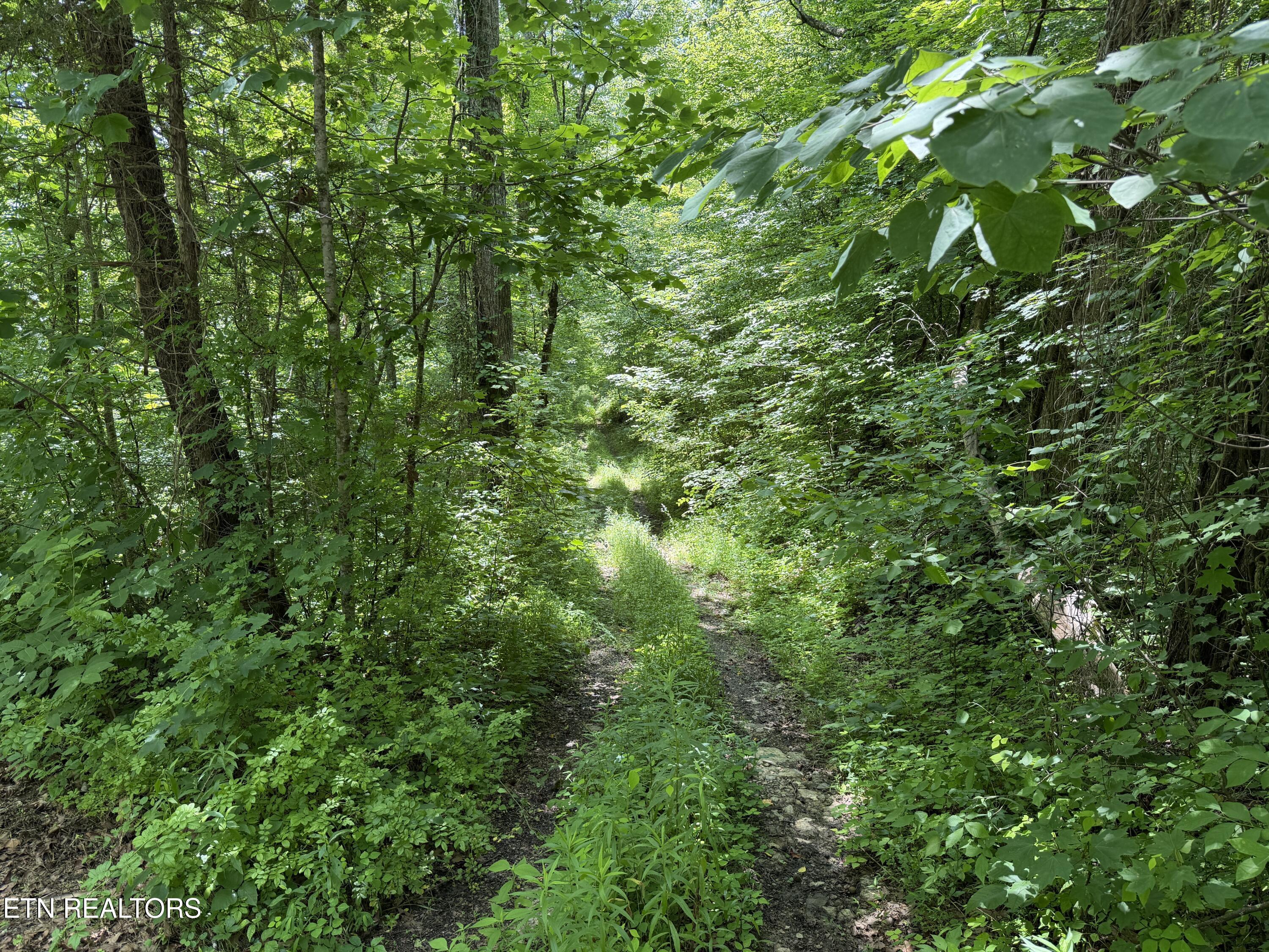 0 Mountain Shores Road Tazewell TN 37879