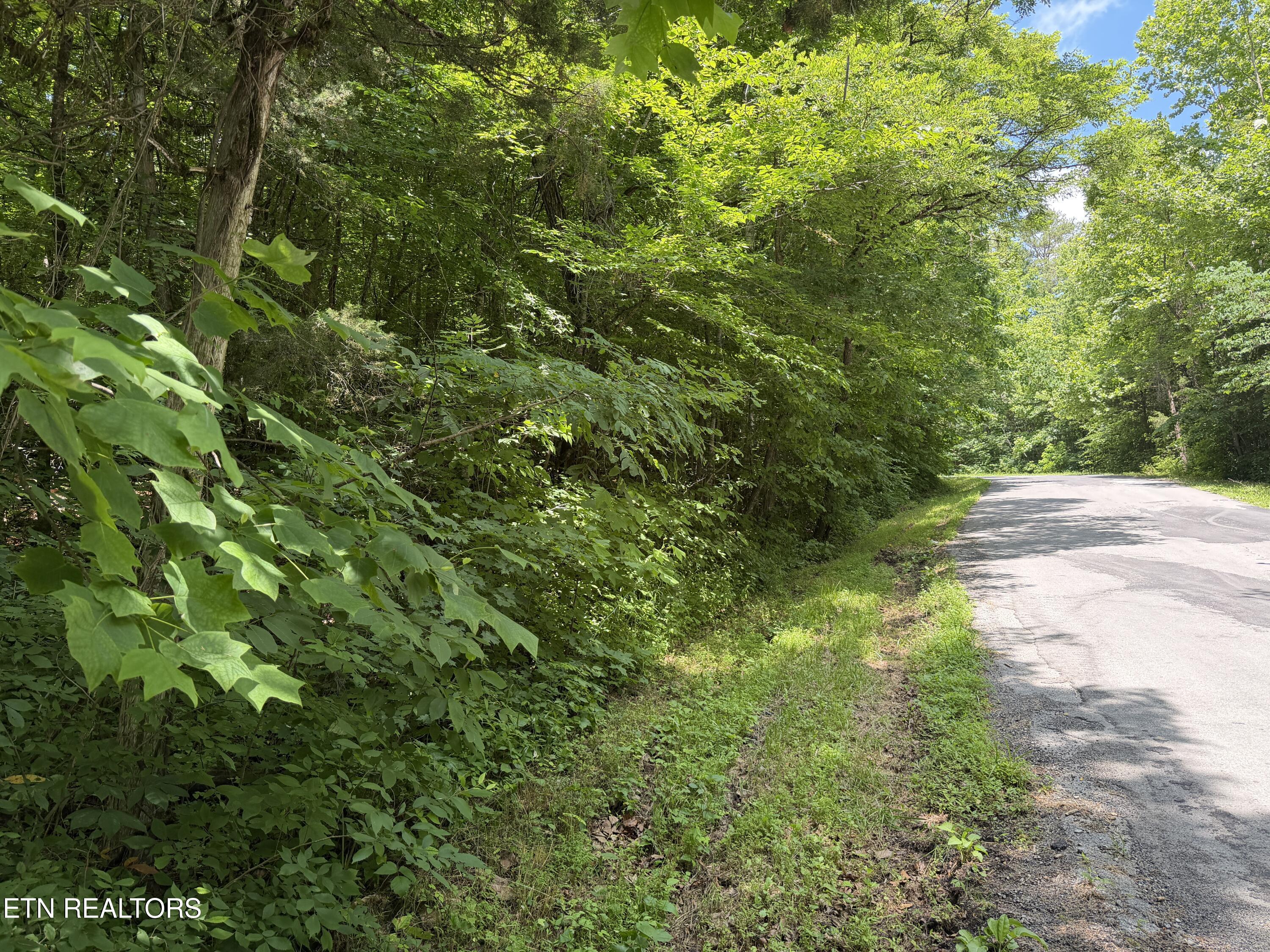 0 Mountain Shores Road Tazewell TN 37879