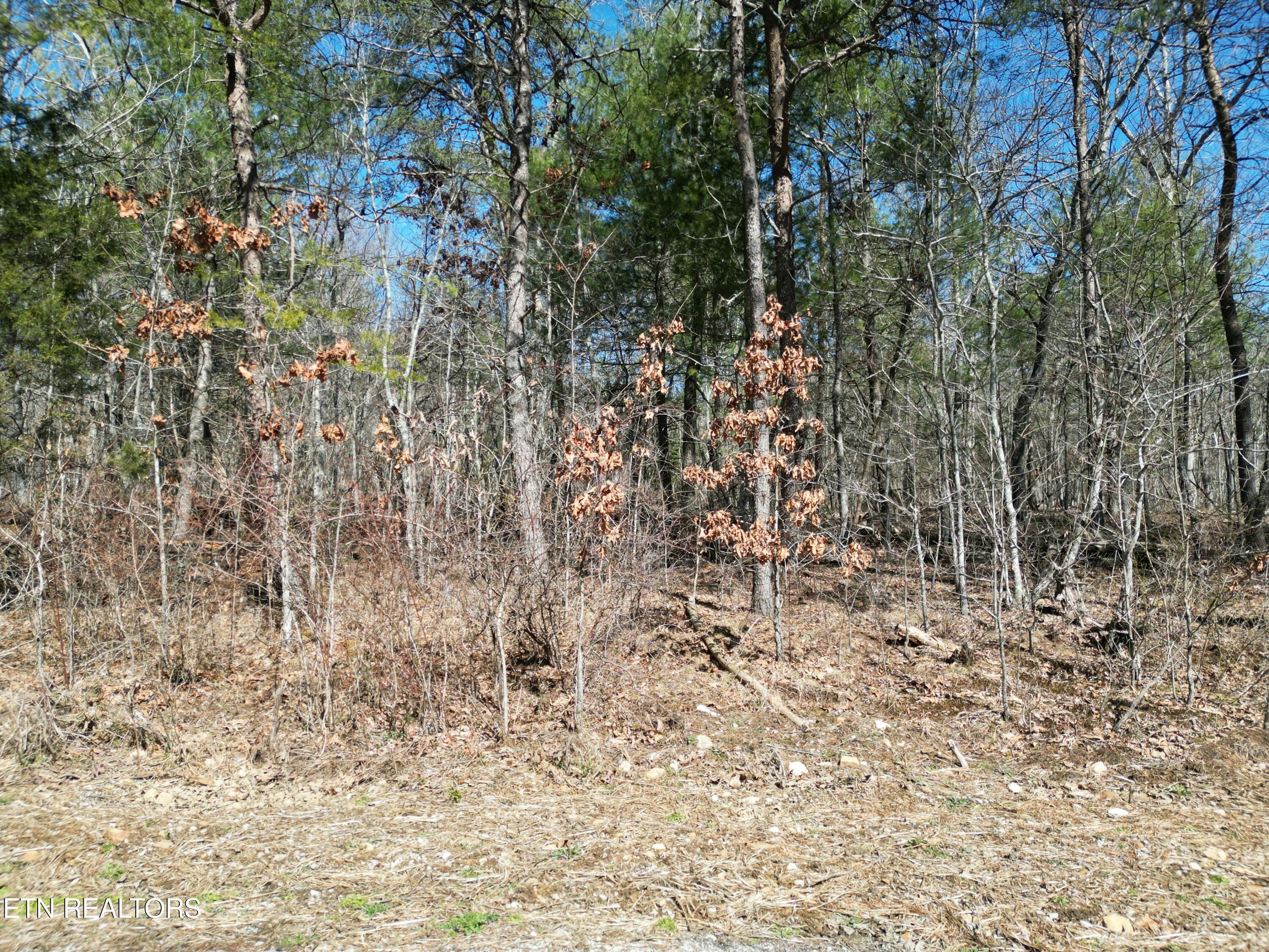 6039 Tomahawk Drive Crossville TN 38572