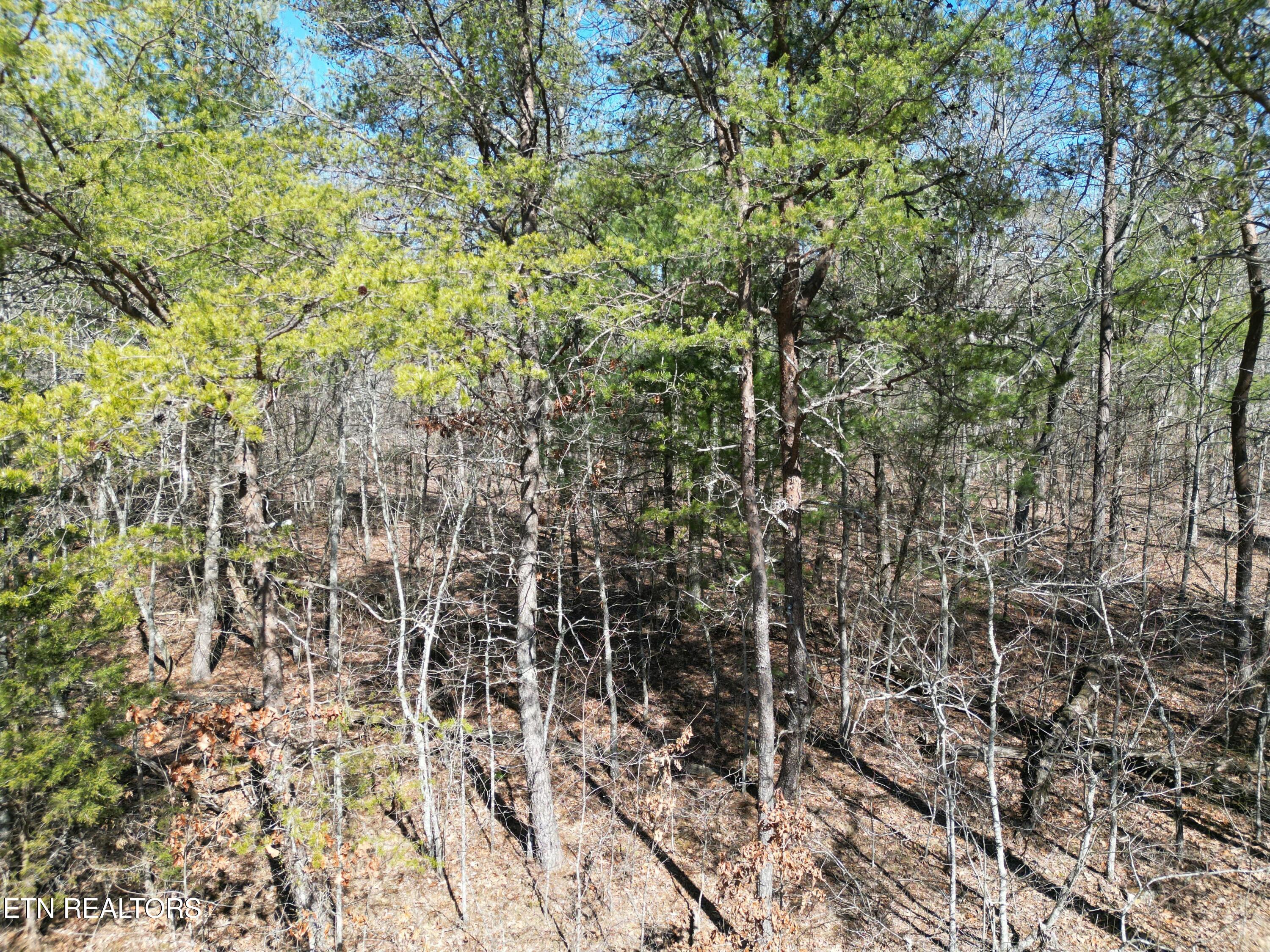 6039 Tomahawk Drive Crossville TN 38572
