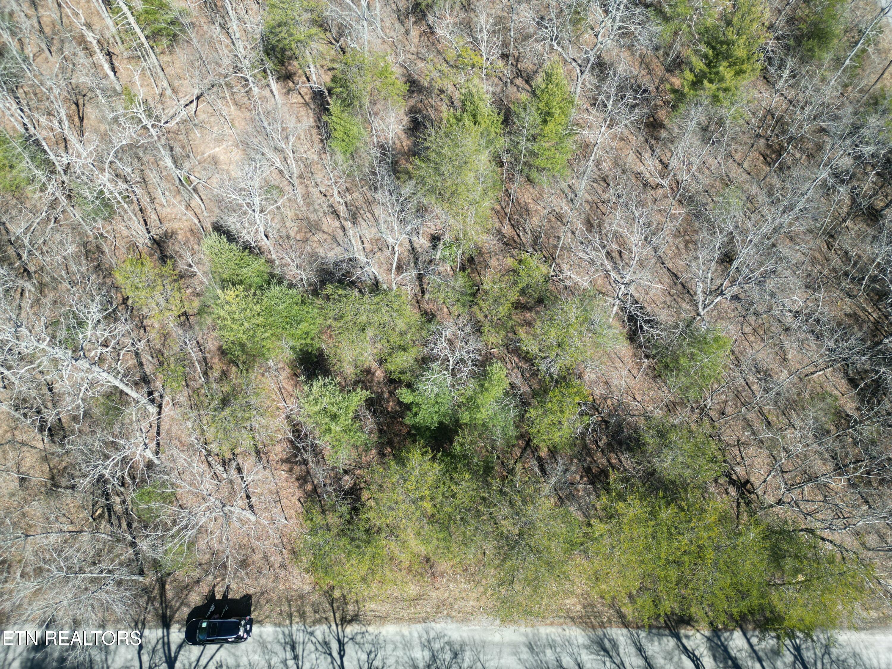 6039 Tomahawk Drive Crossville TN 38572