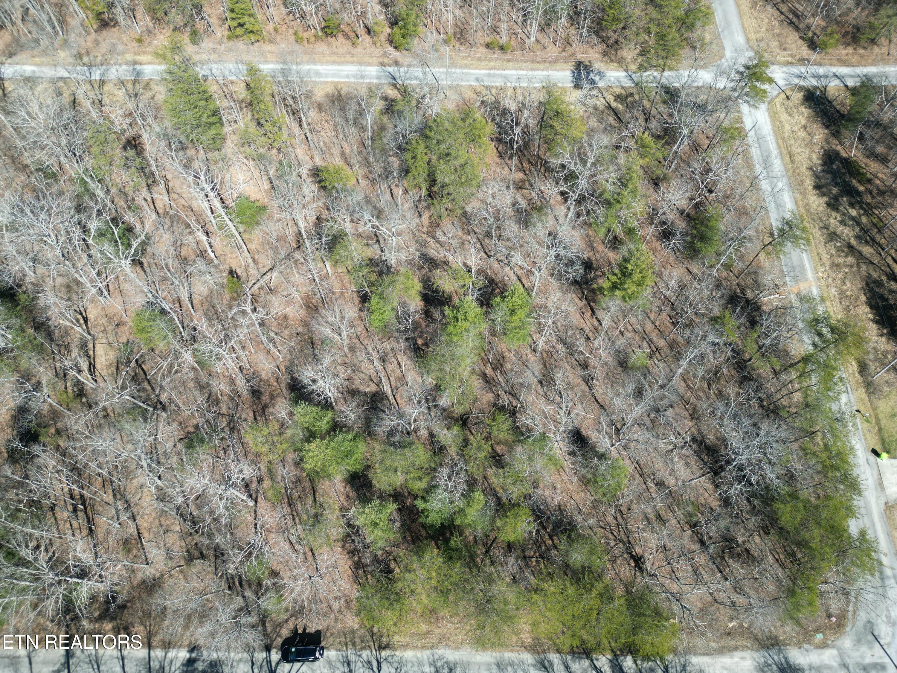 6039 Tomahawk Drive Crossville TN 38572