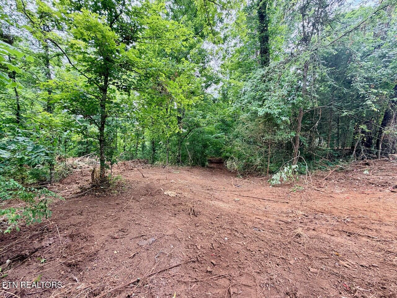 Lot 3 Indian Warpath Road Maryville TN 37803
