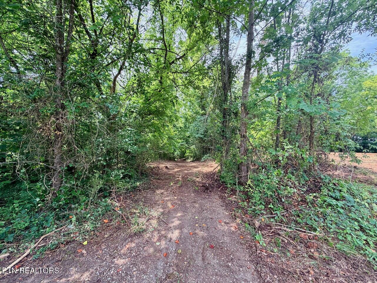 Lot 3 Indian Warpath Road Maryville TN 37803