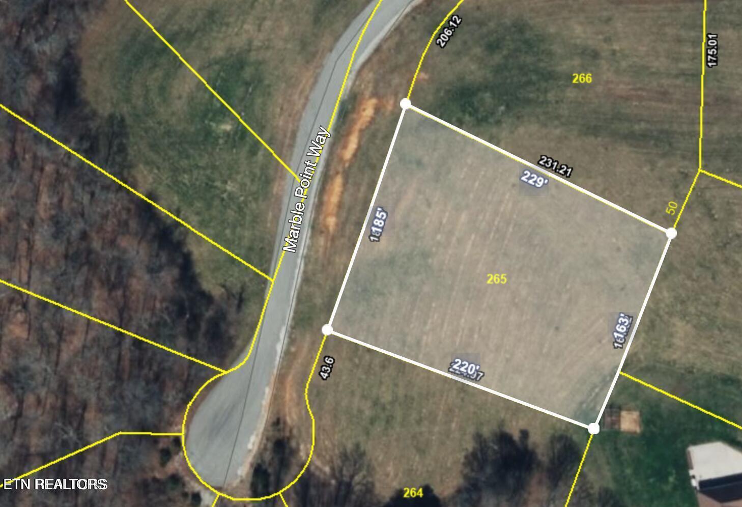 L-265 Marble Point Way New Tazewell TN 37825