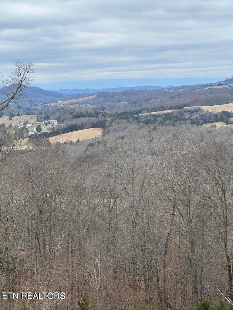 L-265 Marble Point Way New Tazewell TN 37825