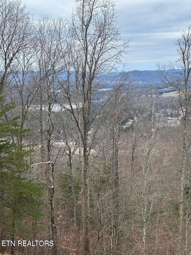 L-265 Marble Point Way New Tazewell TN 37825