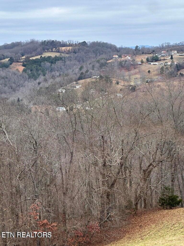 L-265 Marble Point Way New Tazewell TN 37825