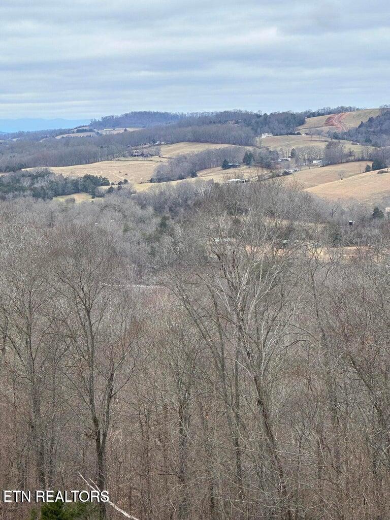 L-265 Marble Point Way New Tazewell TN 37825