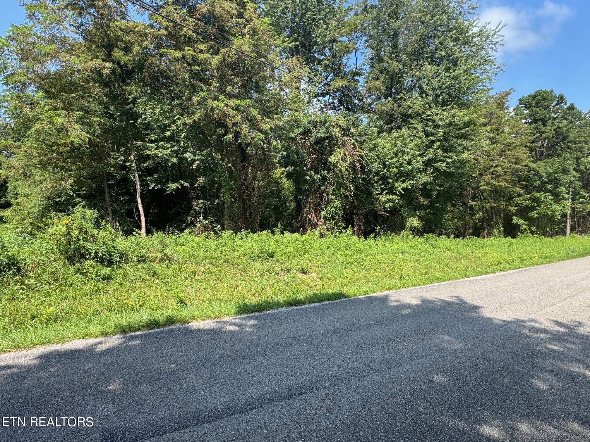 Old Wolf River Road Jamestown TN 38556