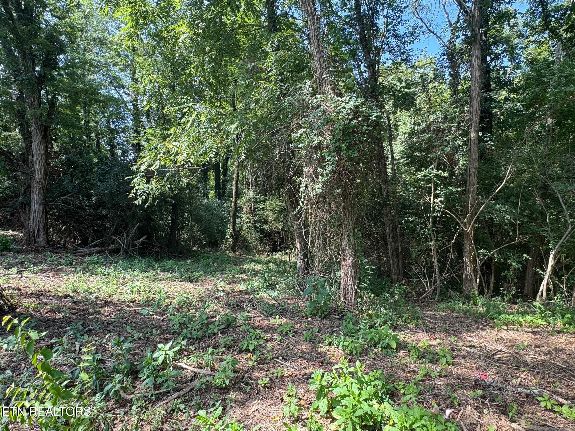 Old Wolf River Road Jamestown TN 38556