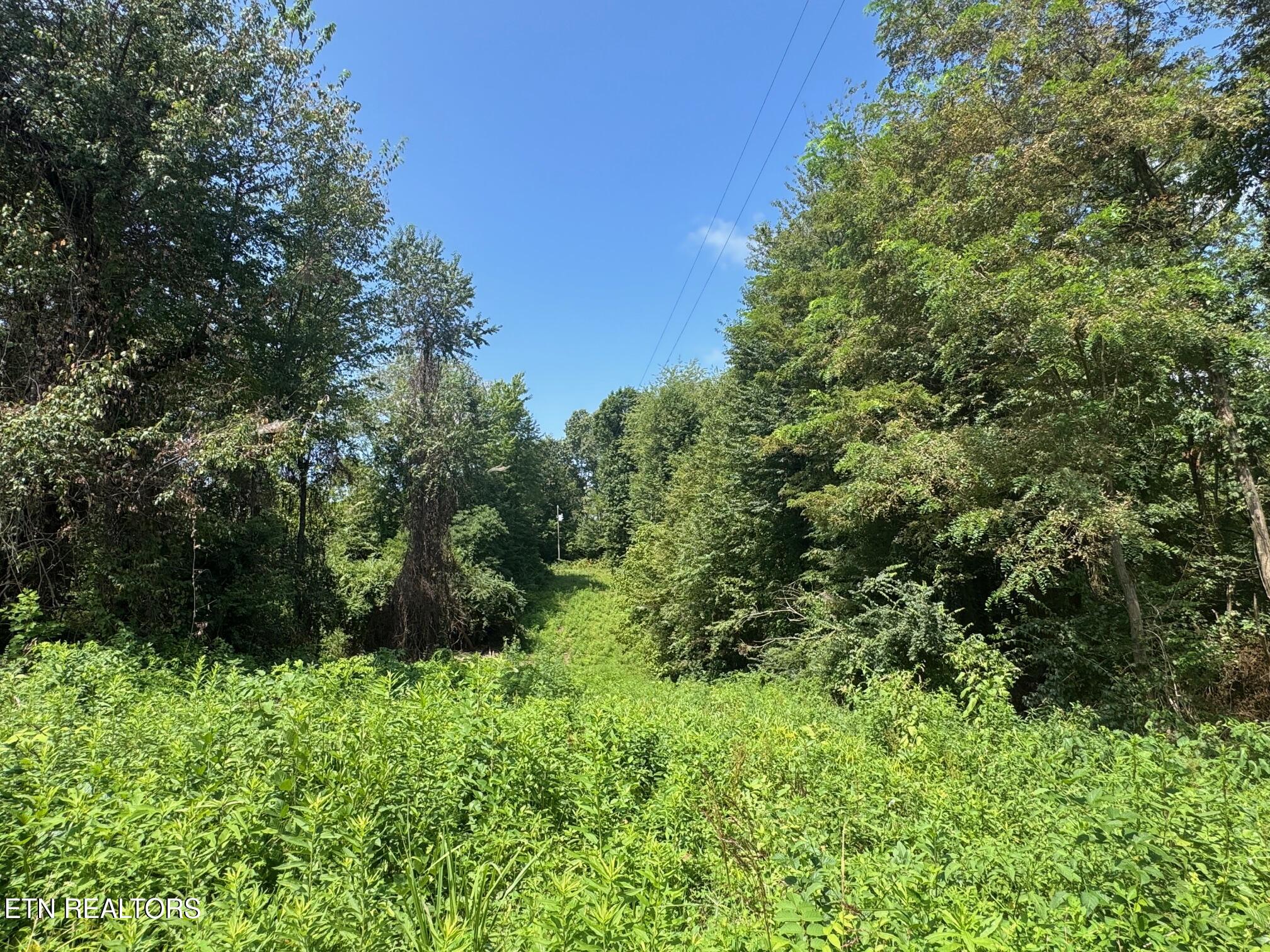 Old Wolf River Road Jamestown TN 38556