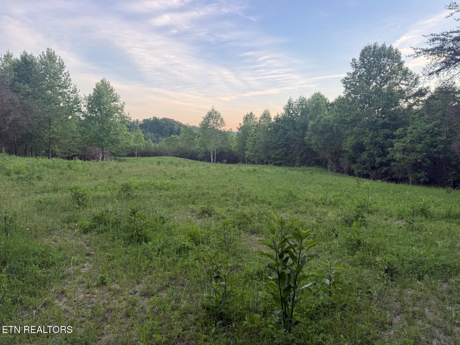 Big Four Road Lafollette TN 37766