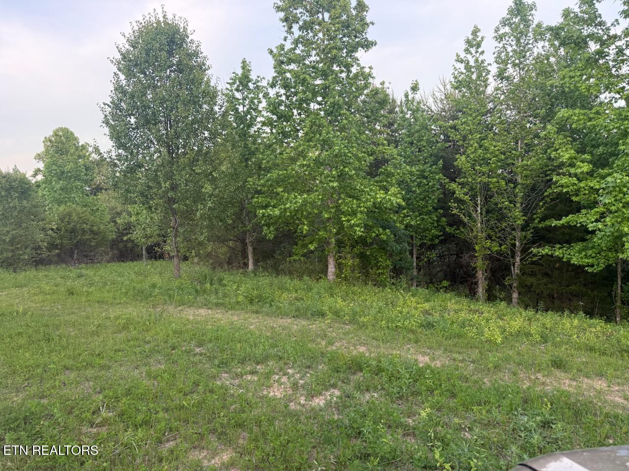 Big Four Road Lafollette TN 37766
