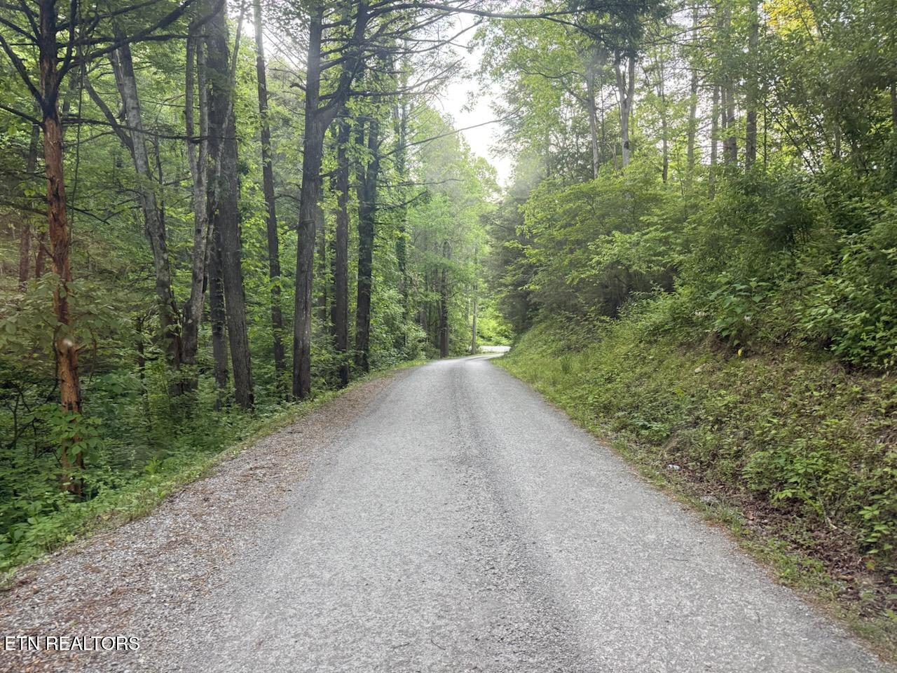 Big Four Road Lafollette TN 37766