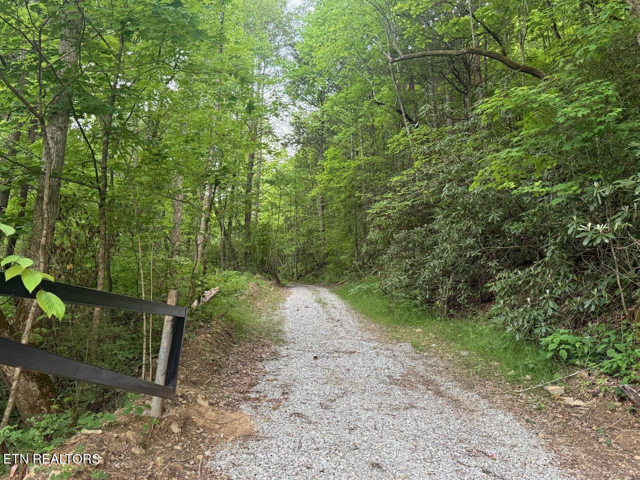 Big Four Road Lafollette TN 37766
