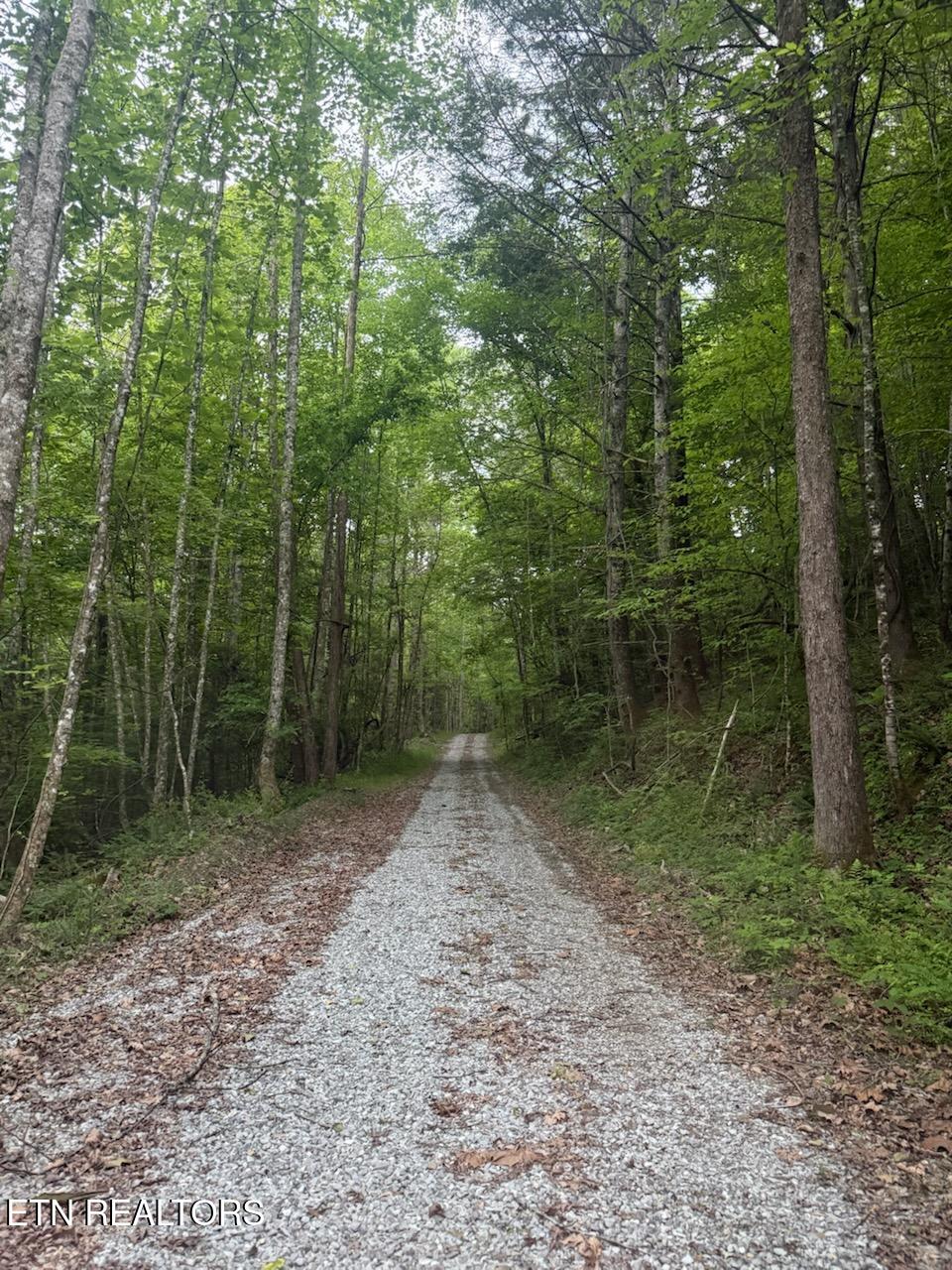 Big Four Road Lafollette TN 37766