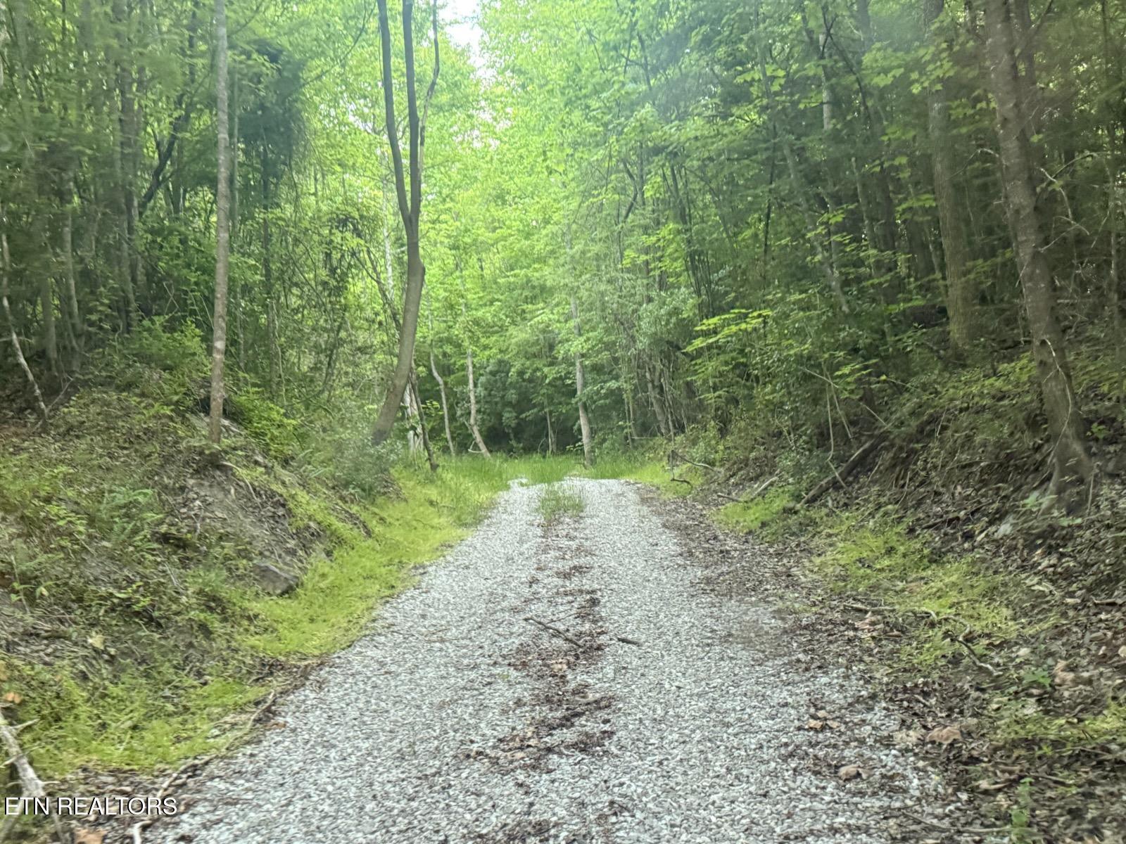 Big Four Road Lafollette TN 37766