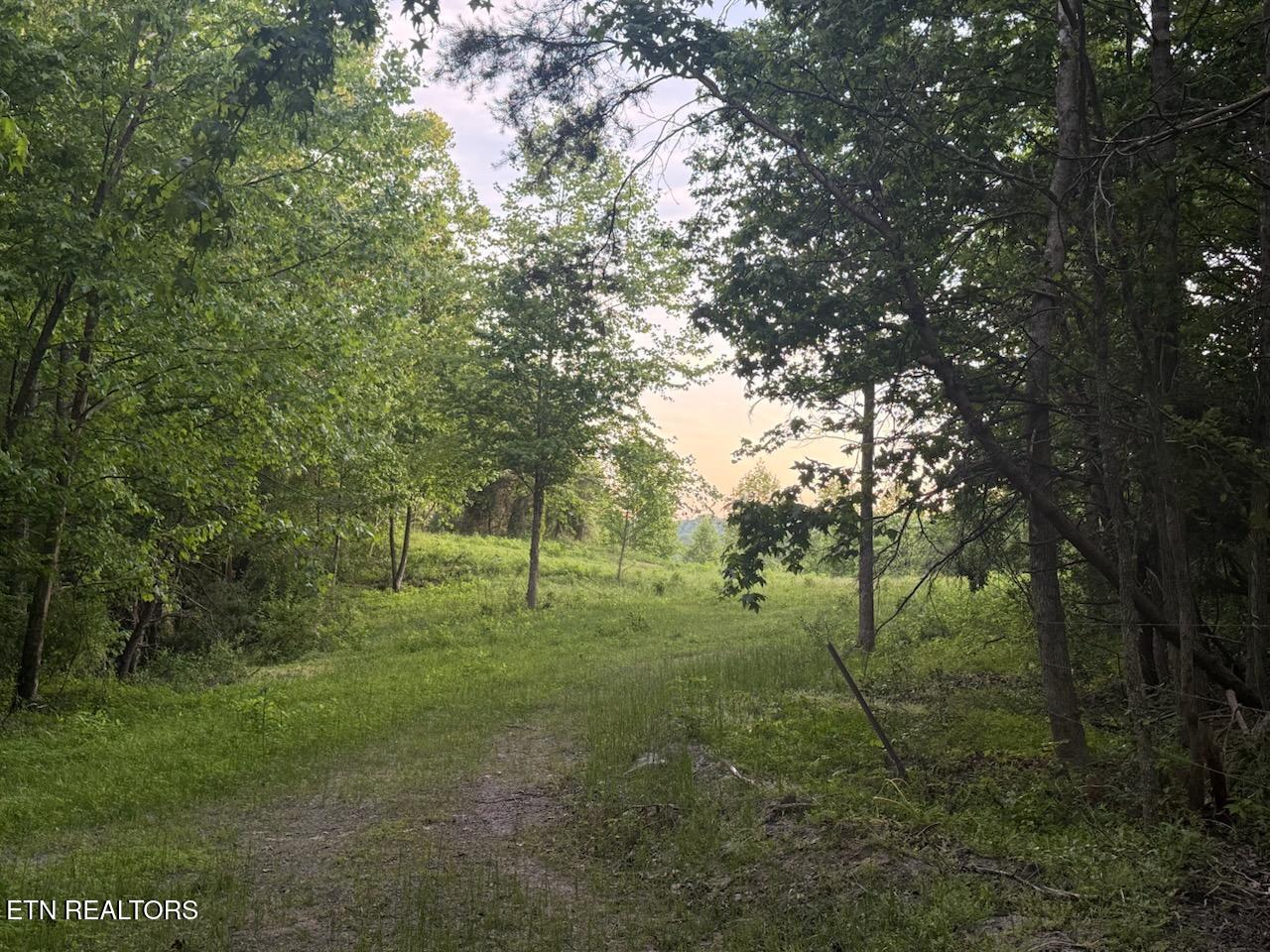 Big Four Road Lafollette TN 37766