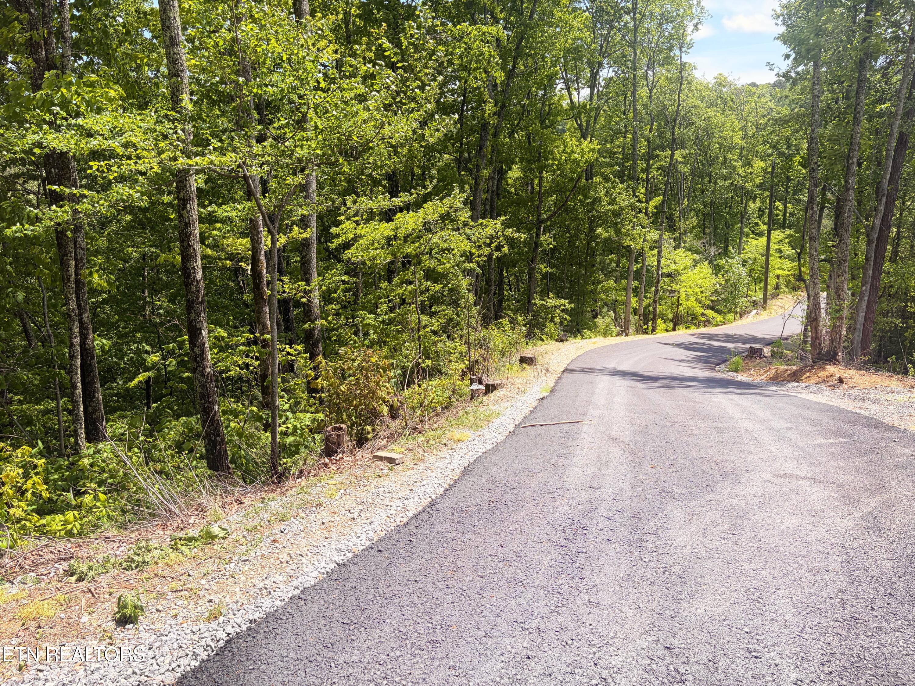 Lot 16 Meadow View Road Sevierville TN 37862