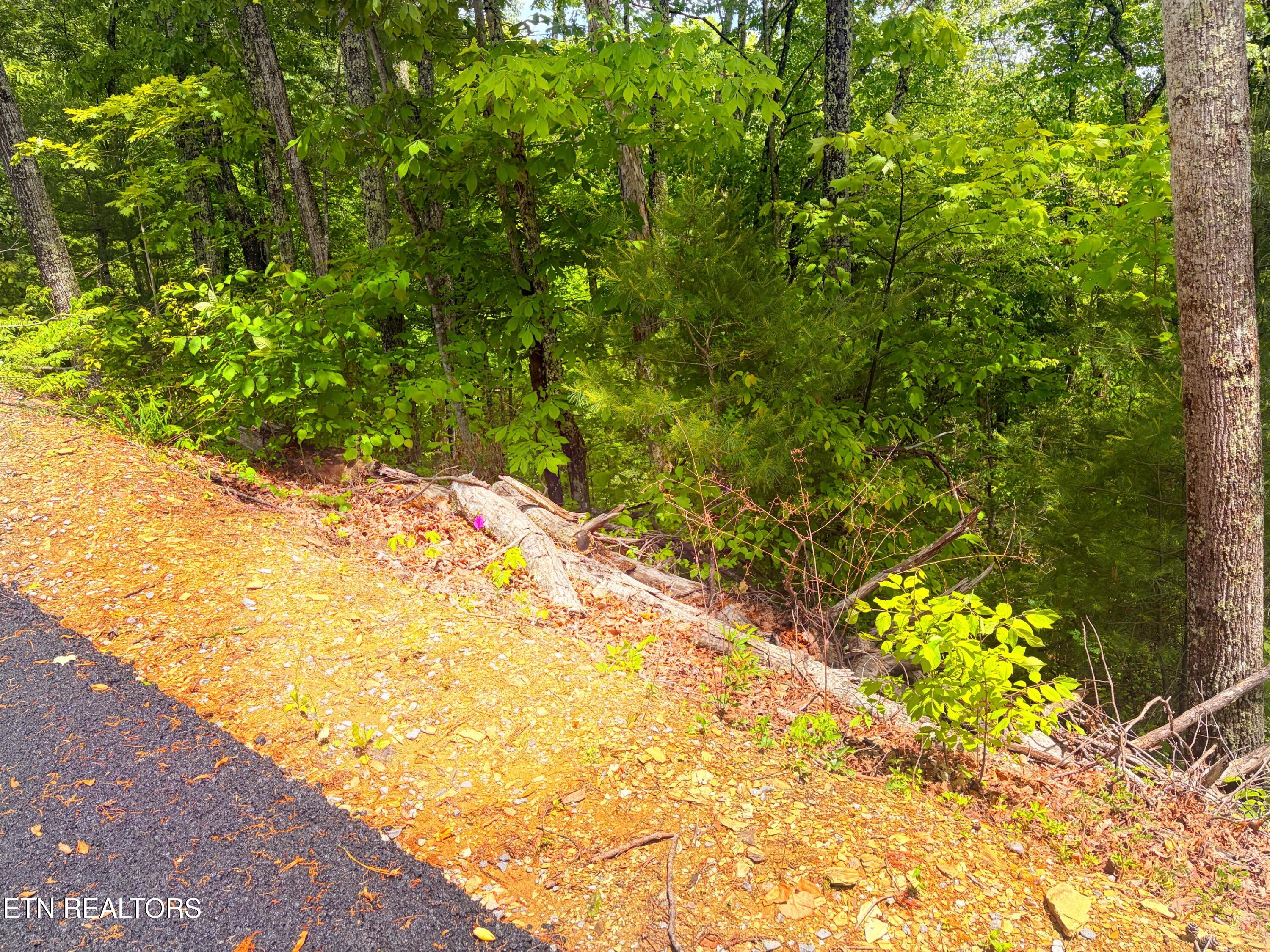 Lot 16 Meadow View Road Sevierville TN 37862