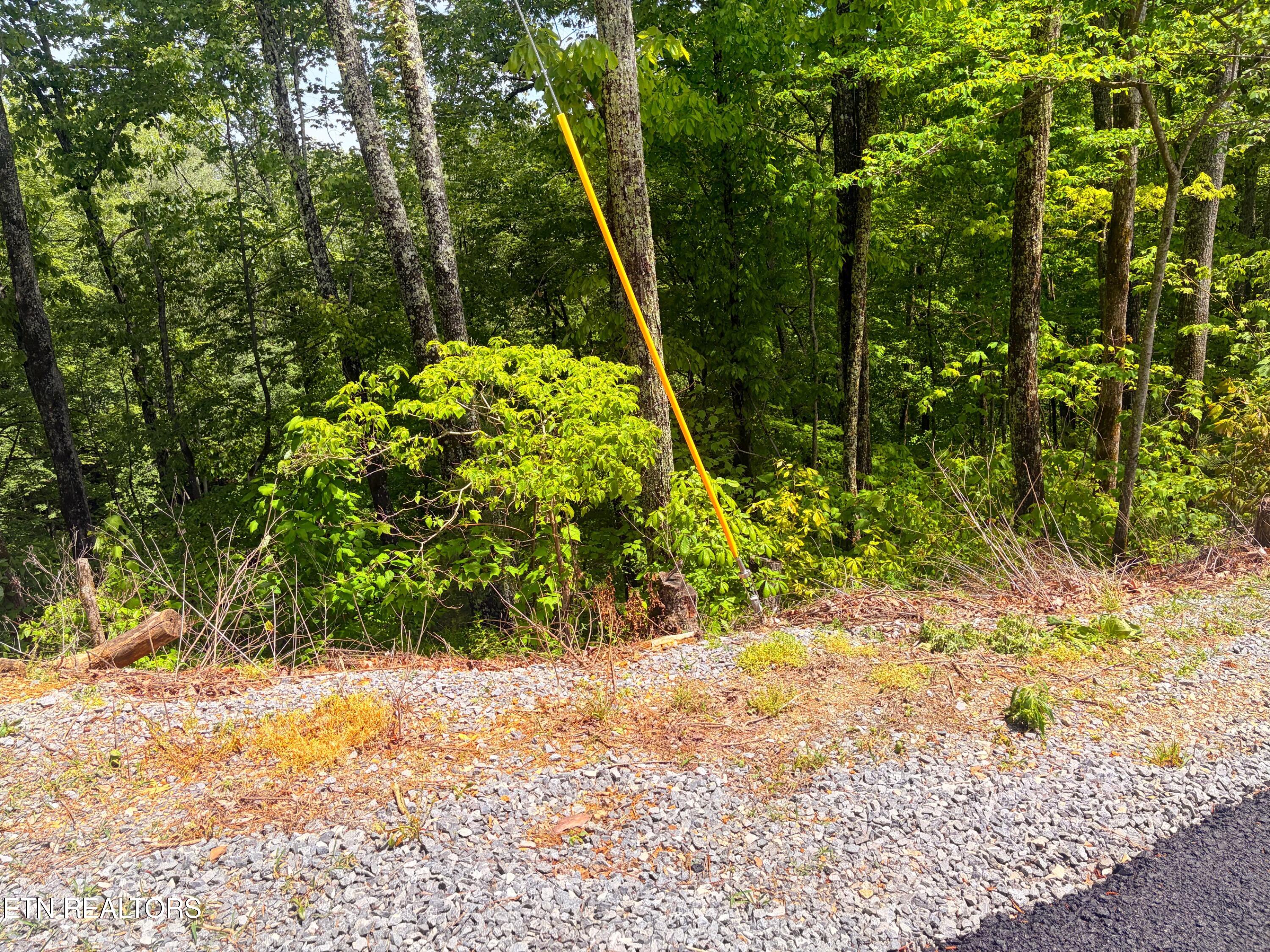 Lot 16 Meadow View Road Sevierville TN 37862