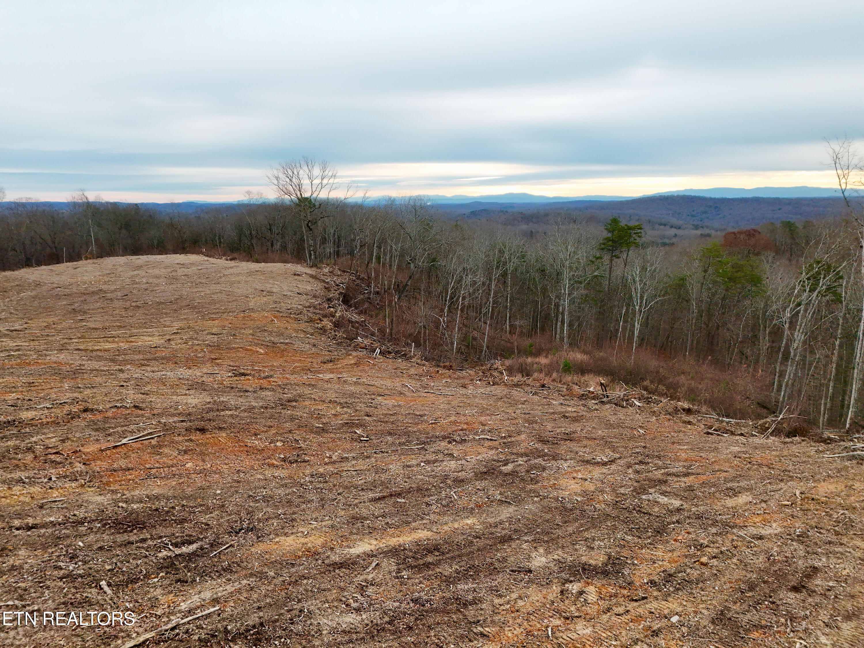 Laurel Bluff Road Kingston TN 37763