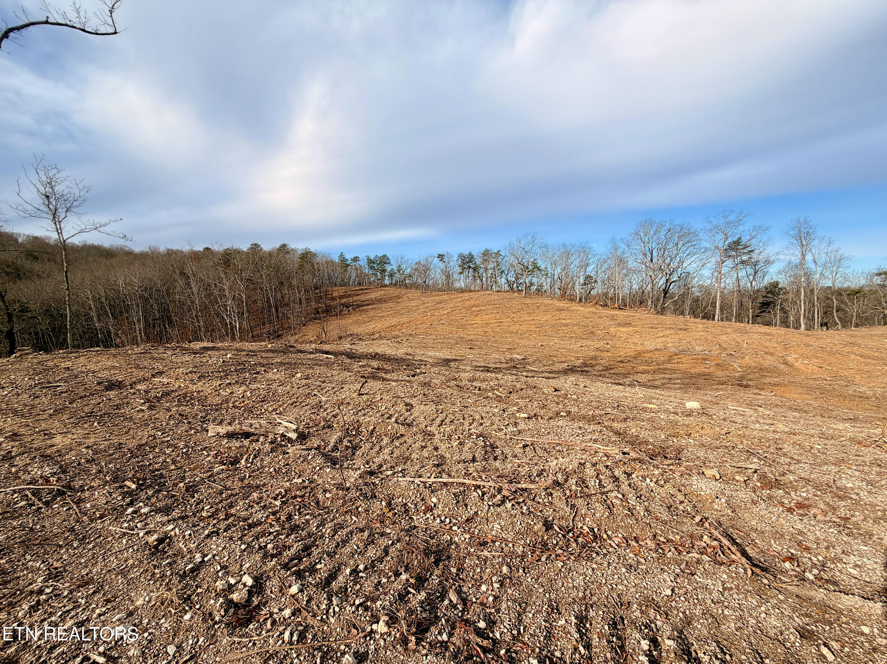 Laurel Bluff Road Kingston TN 37763