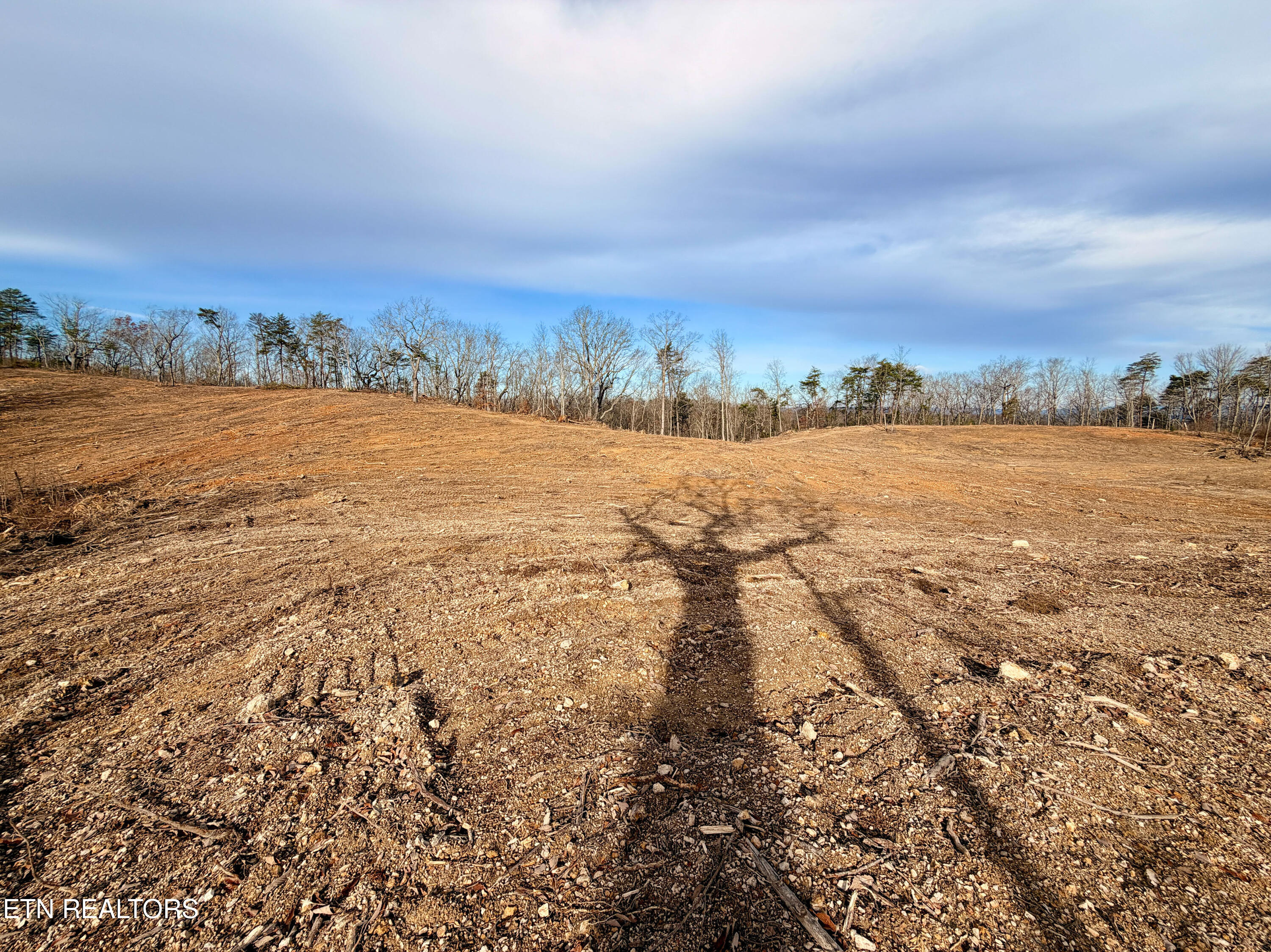 Laurel Bluff Road Kingston TN 37763