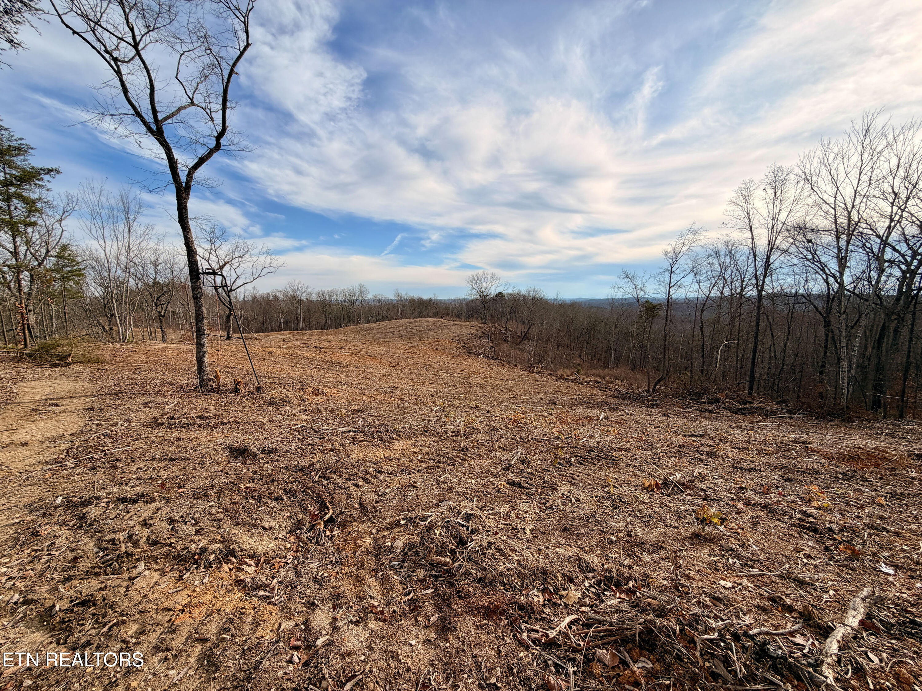 Laurel Bluff Road Kingston TN 37763