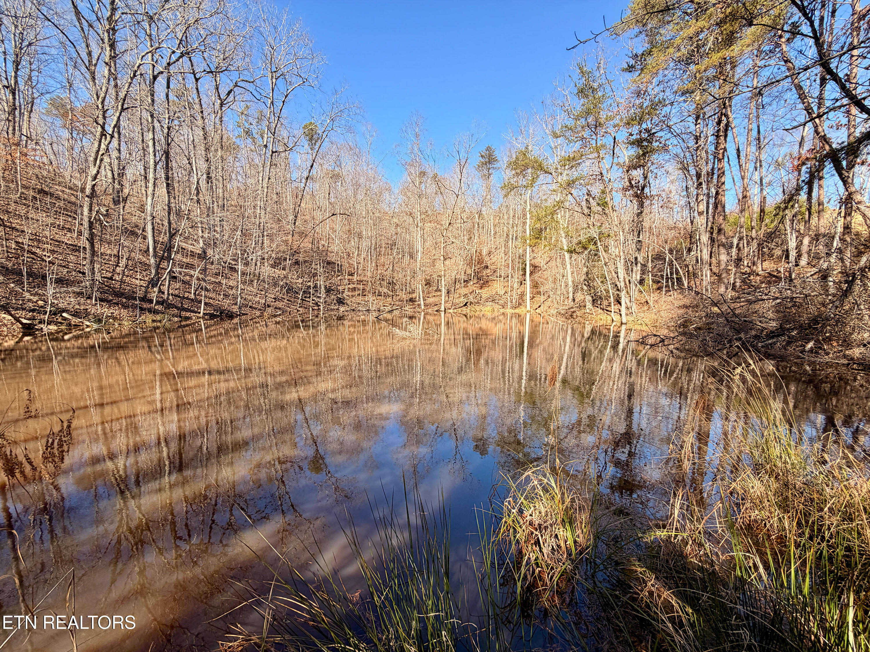 Laurel Bluff Road Kingston TN 37763