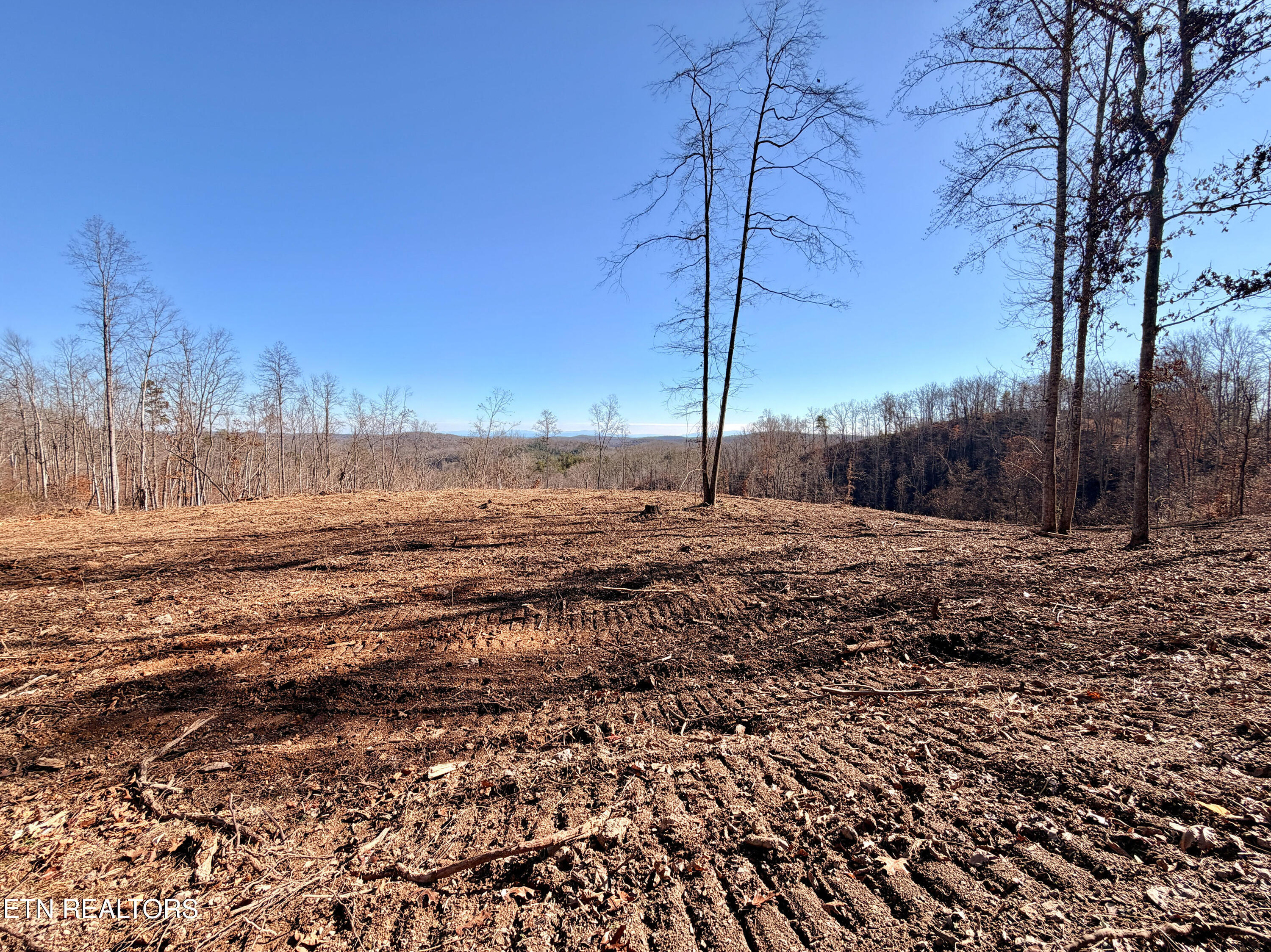 Laurel Bluff Road Kingston TN 37763