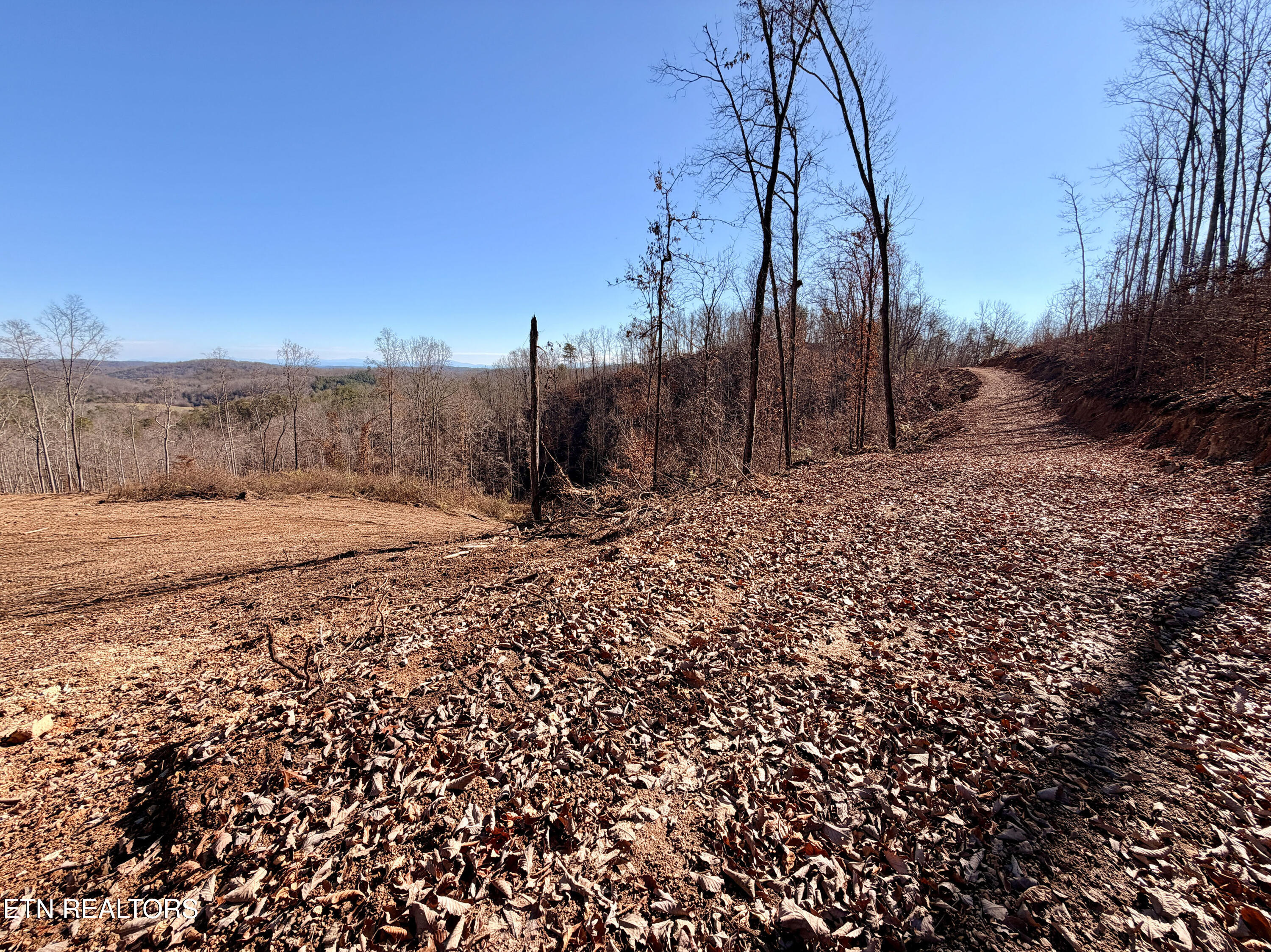 Laurel Bluff Road Kingston TN 37763