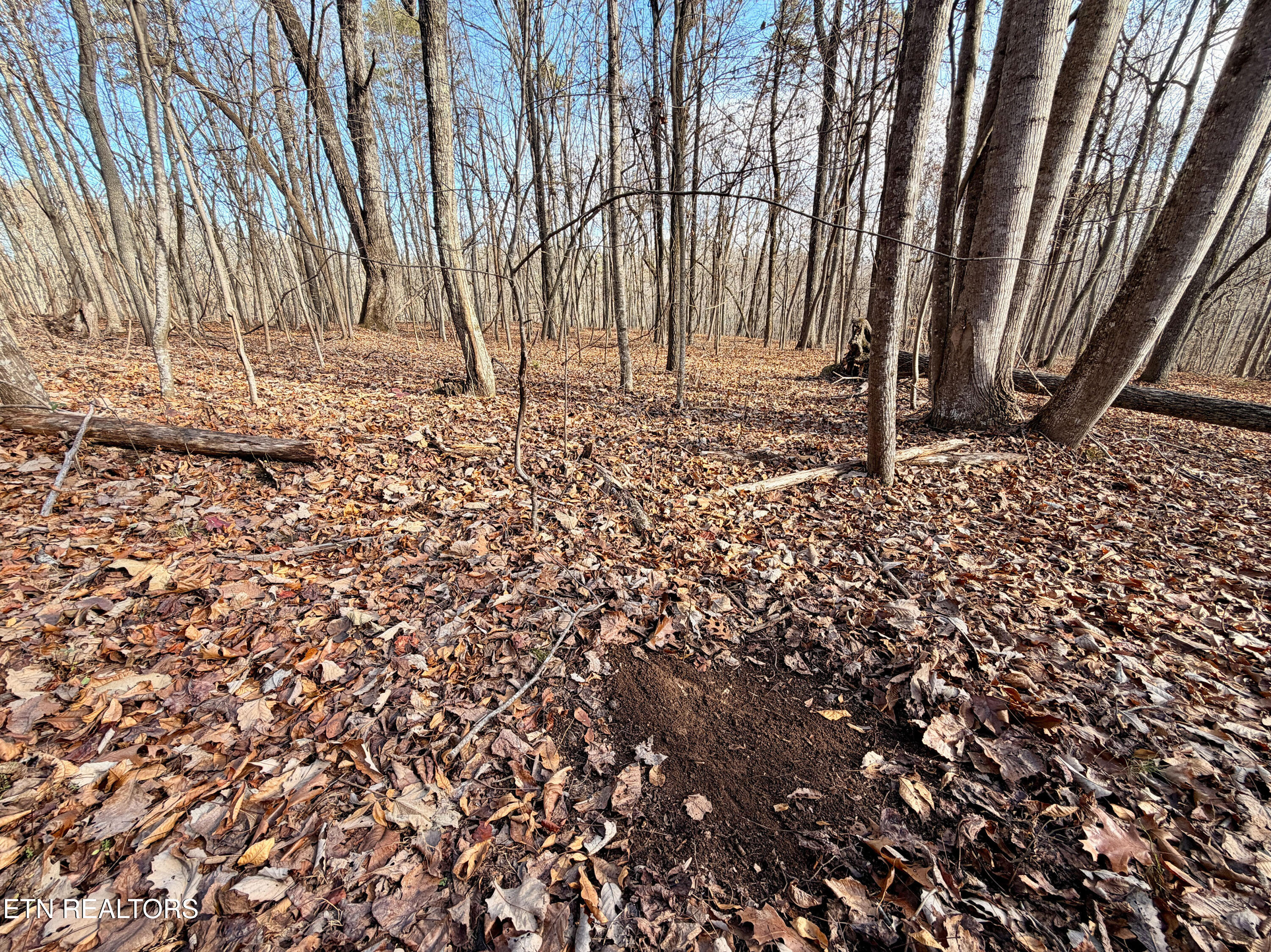 Laurel Bluff Road Kingston TN 37763