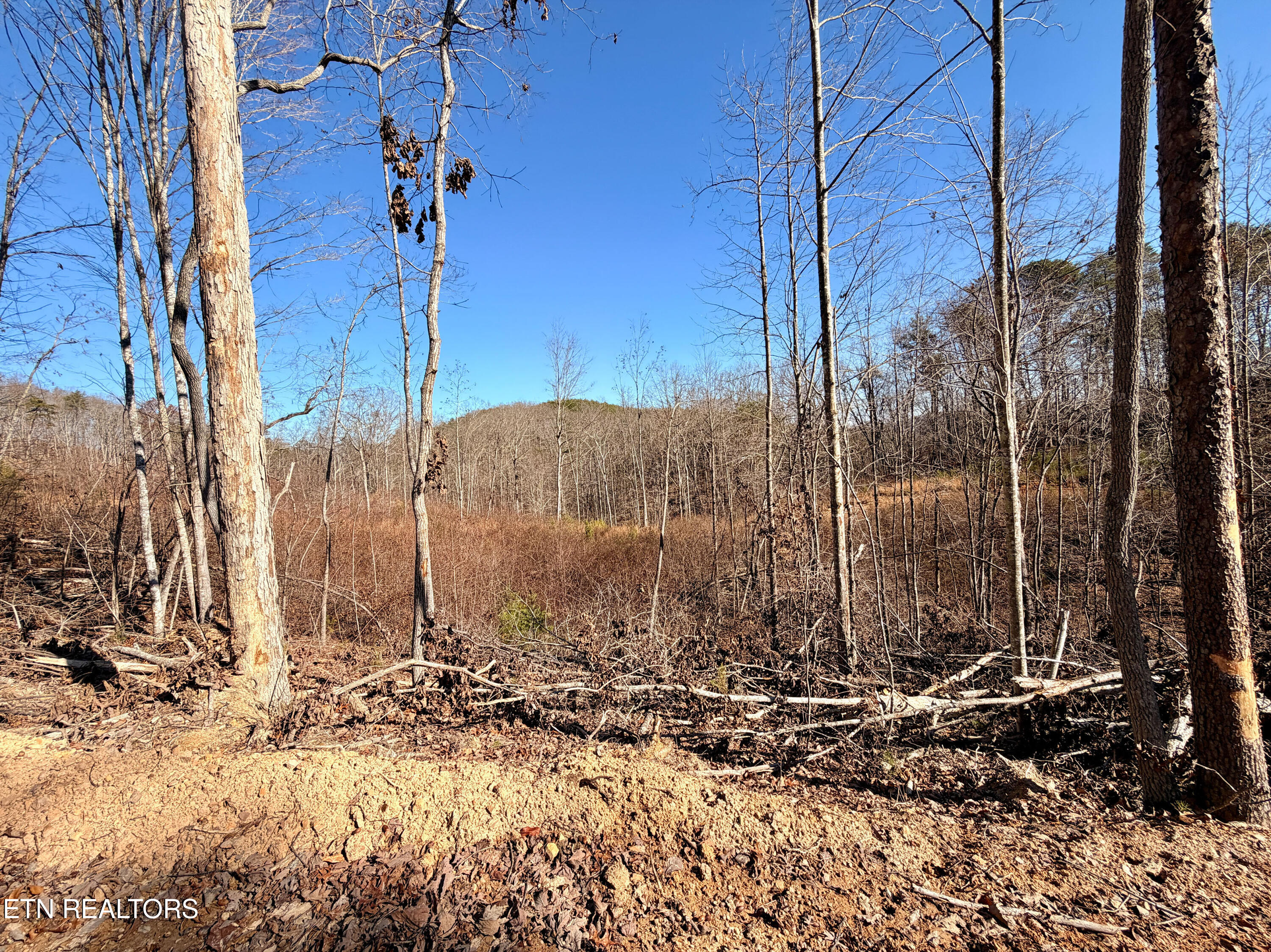 Laurel Bluff Road Kingston TN 37763
