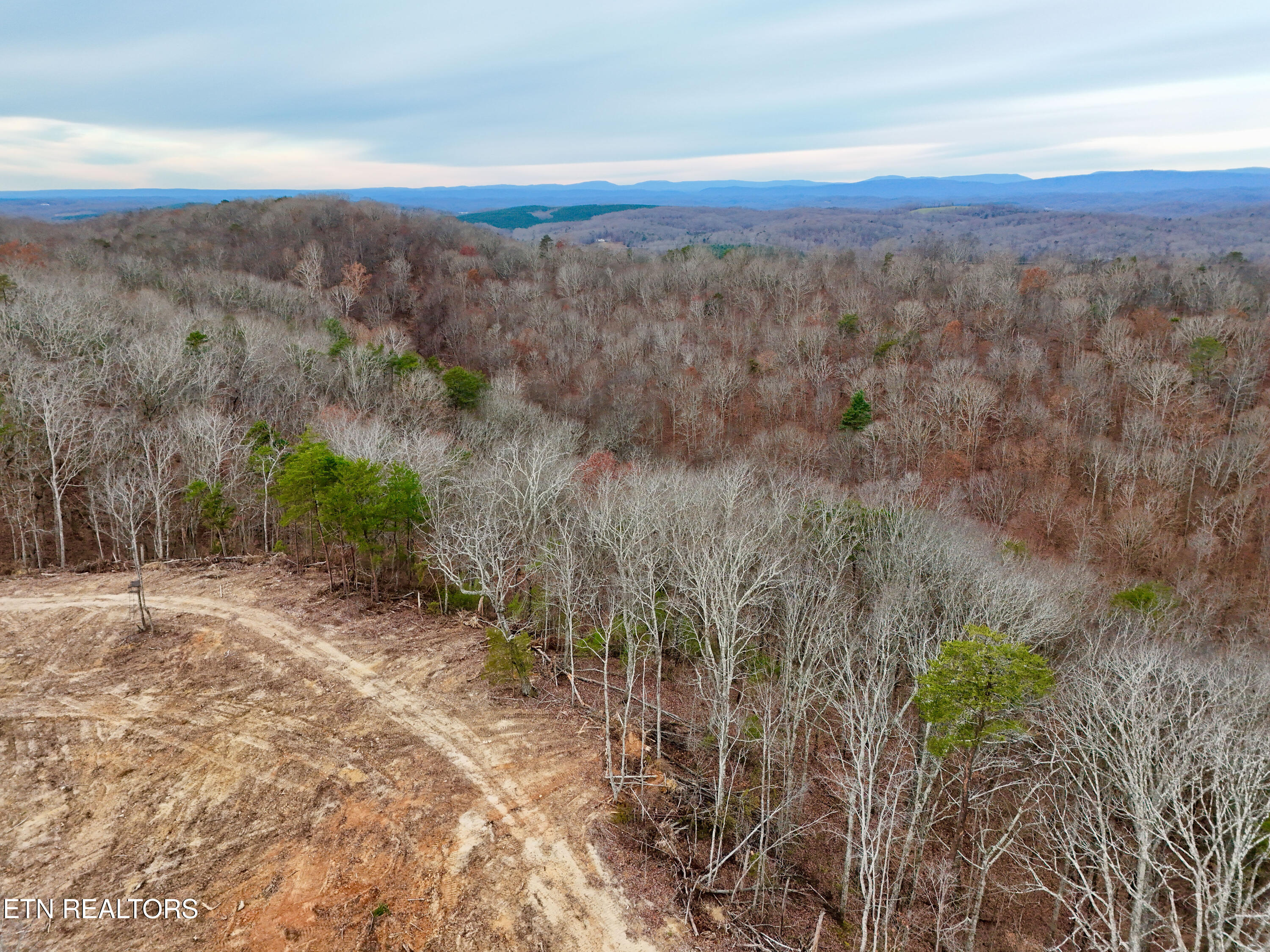Laurel Bluff Road Kingston TN 37763