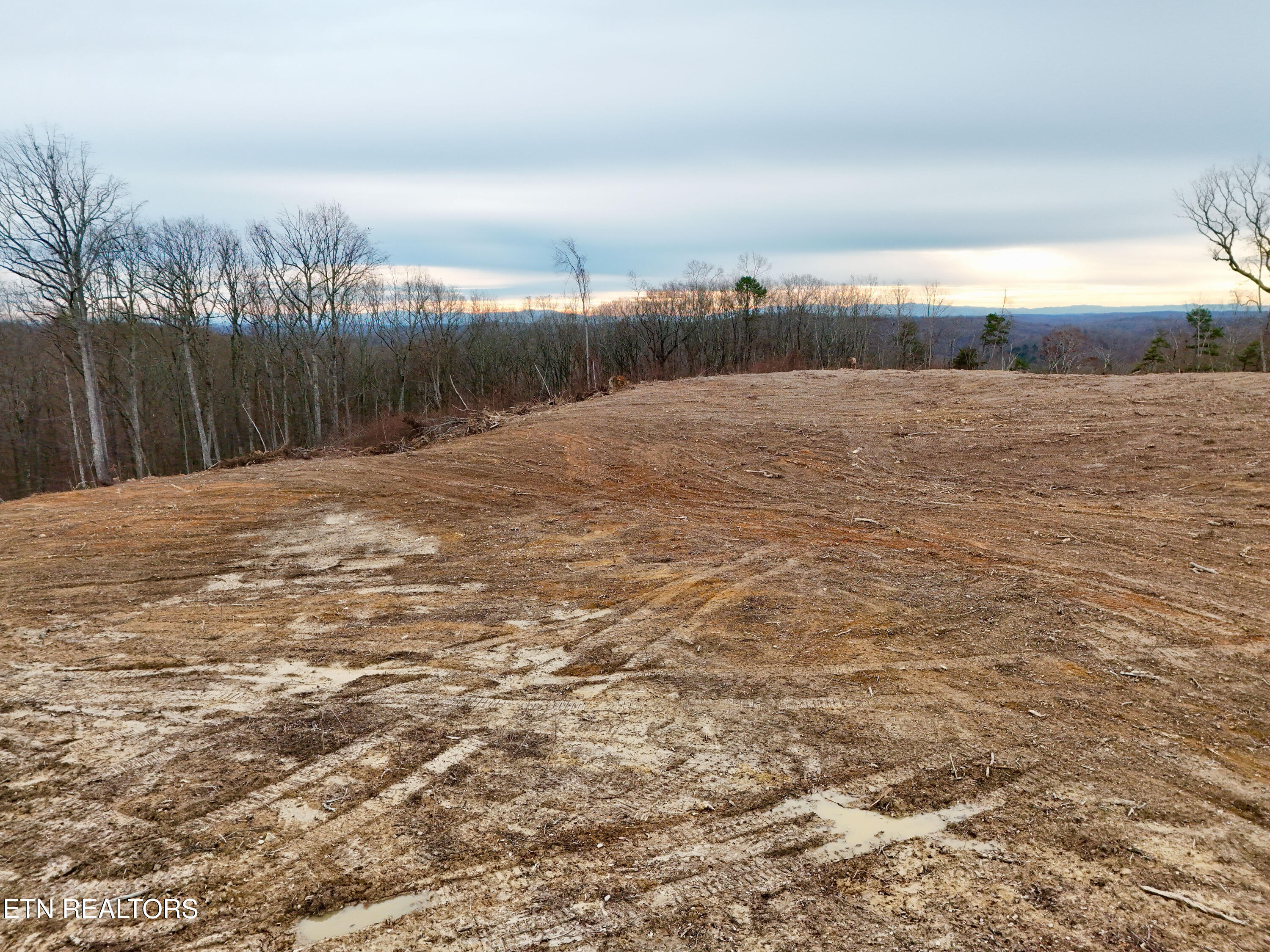 Laurel Bluff Road Kingston TN 37763