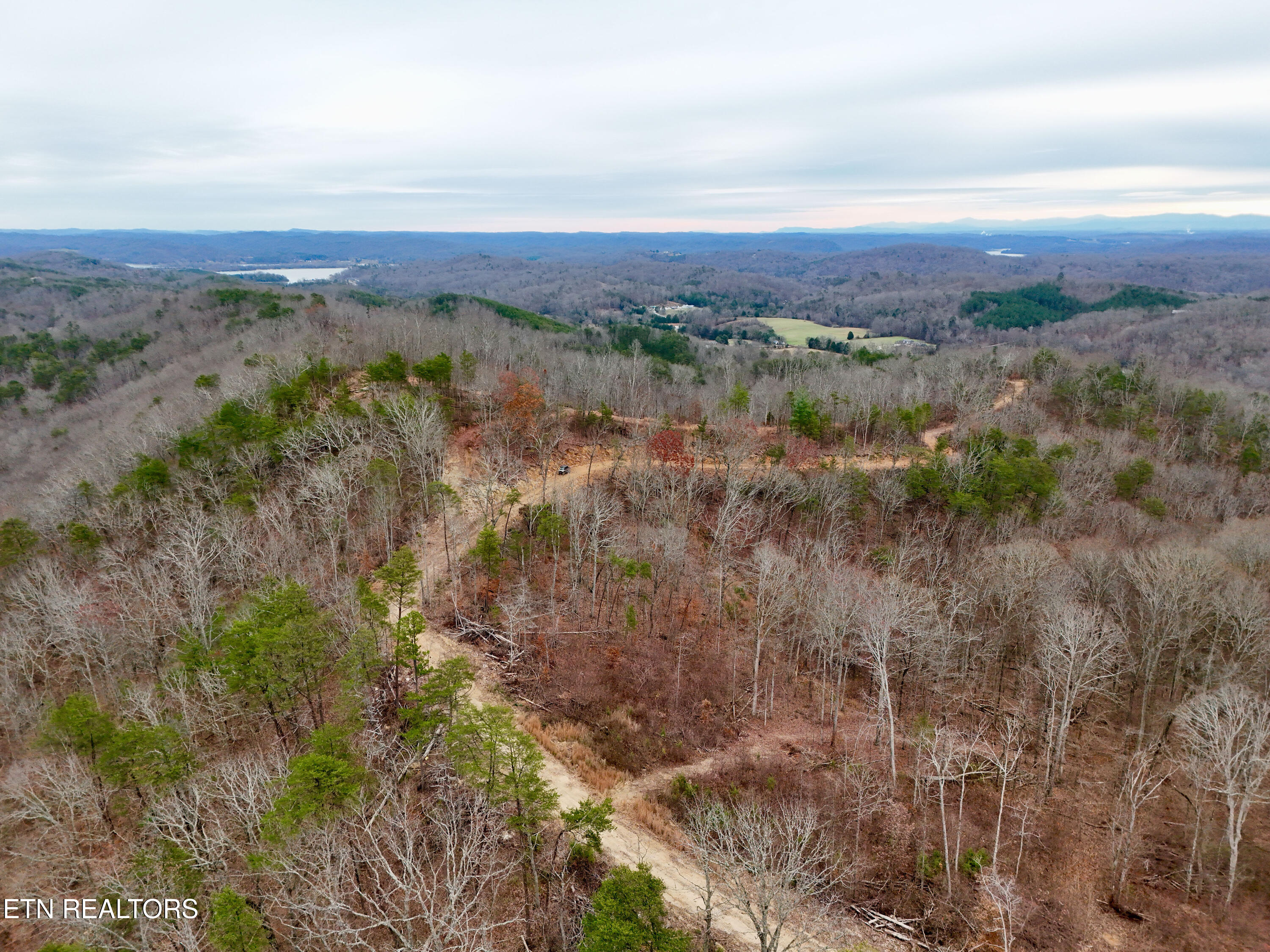 Laurel Bluff Road Kingston TN 37763