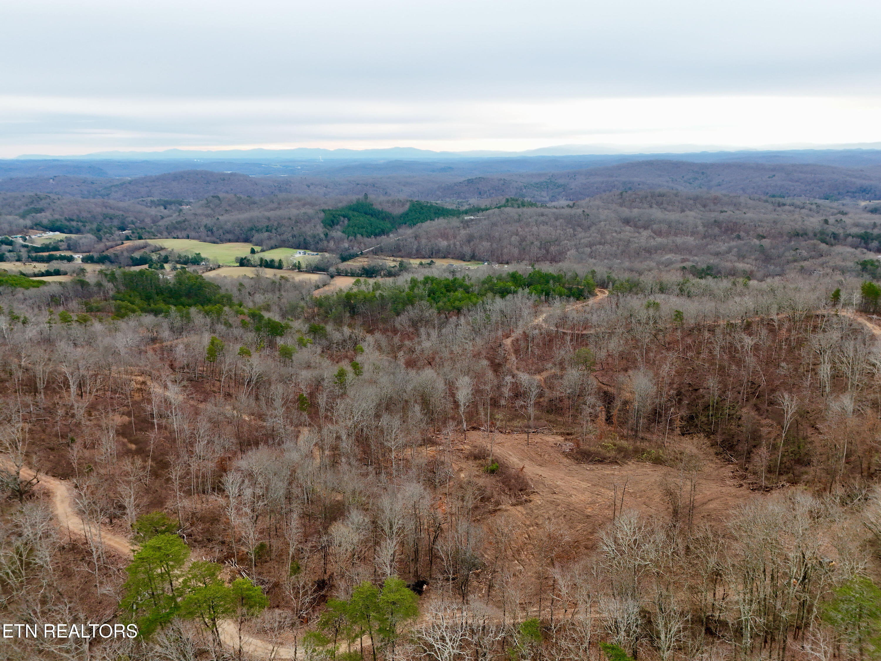 Laurel Bluff Road Kingston TN 37763