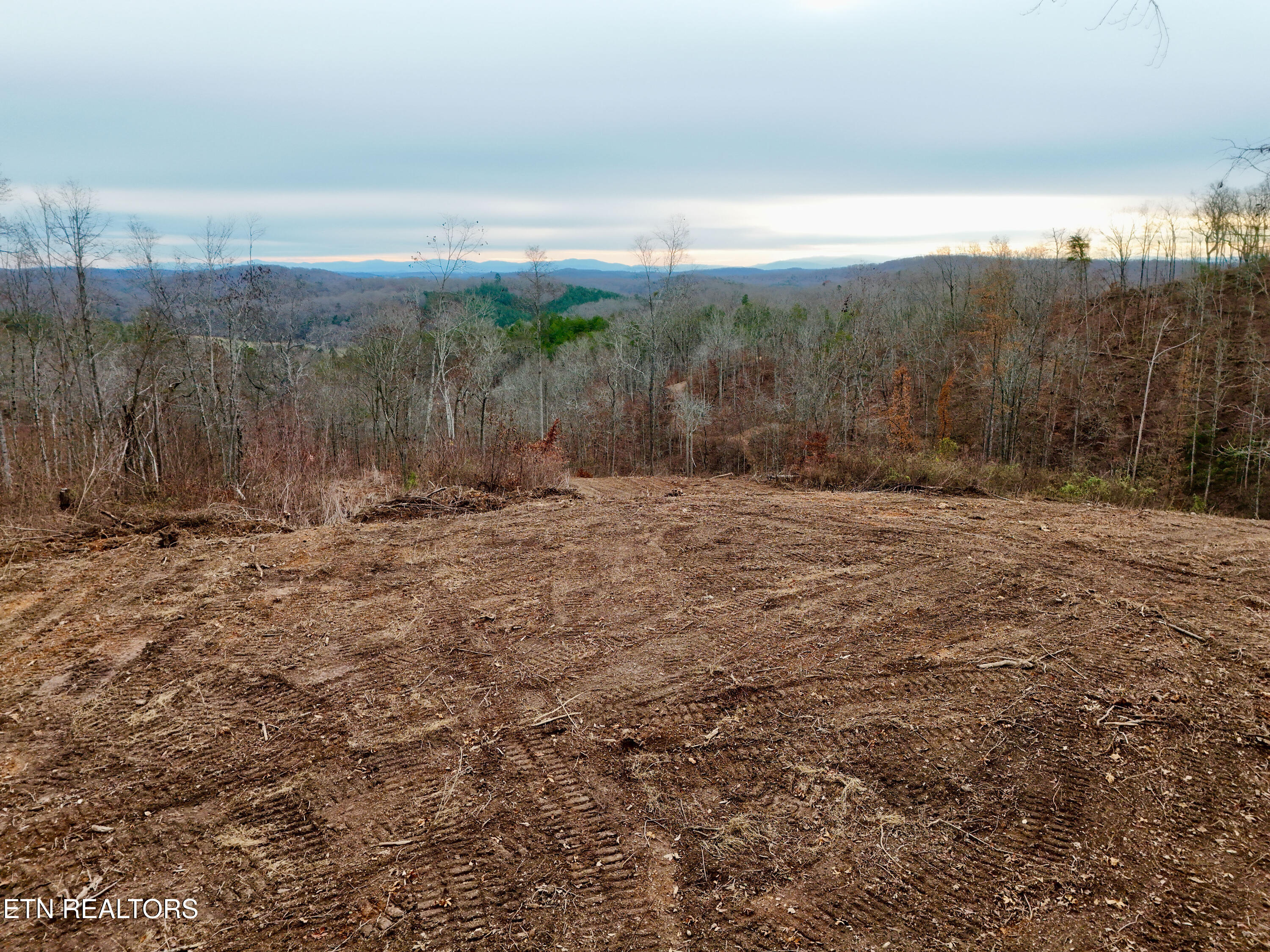 Laurel Bluff Road Kingston TN 37763