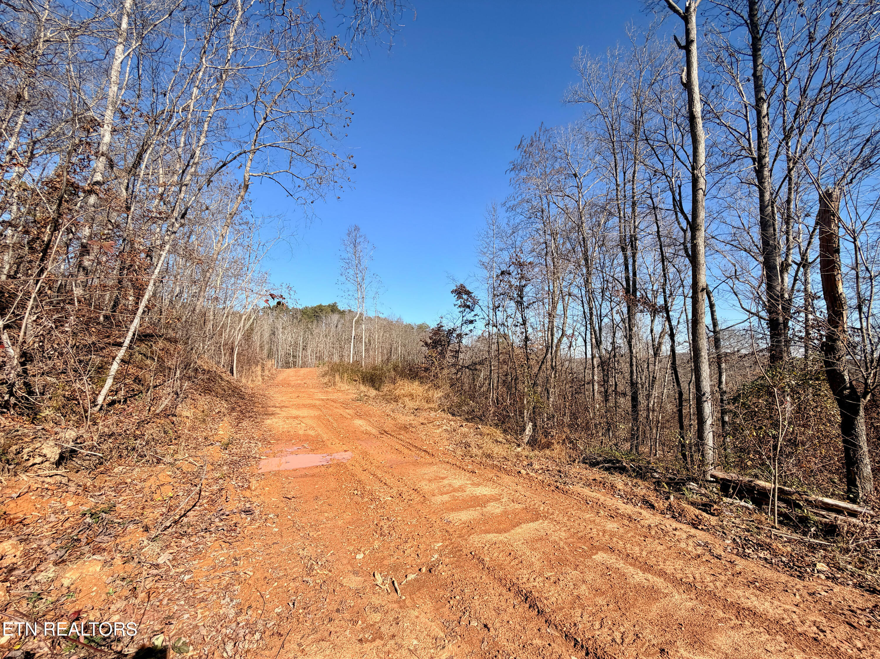 Laurel Bluff Road Kingston TN 37763