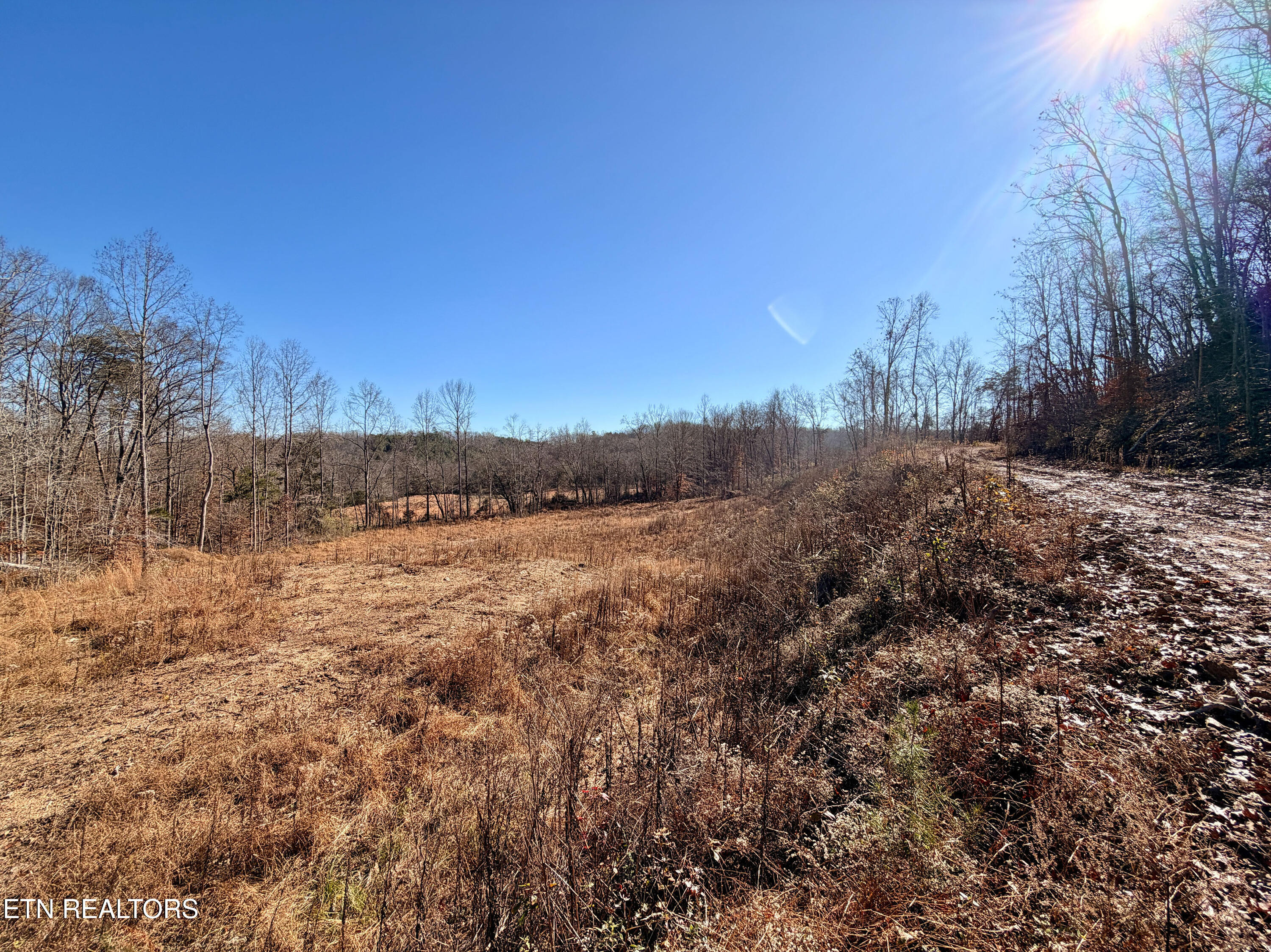 Laurel Bluff Road Kingston TN 37763