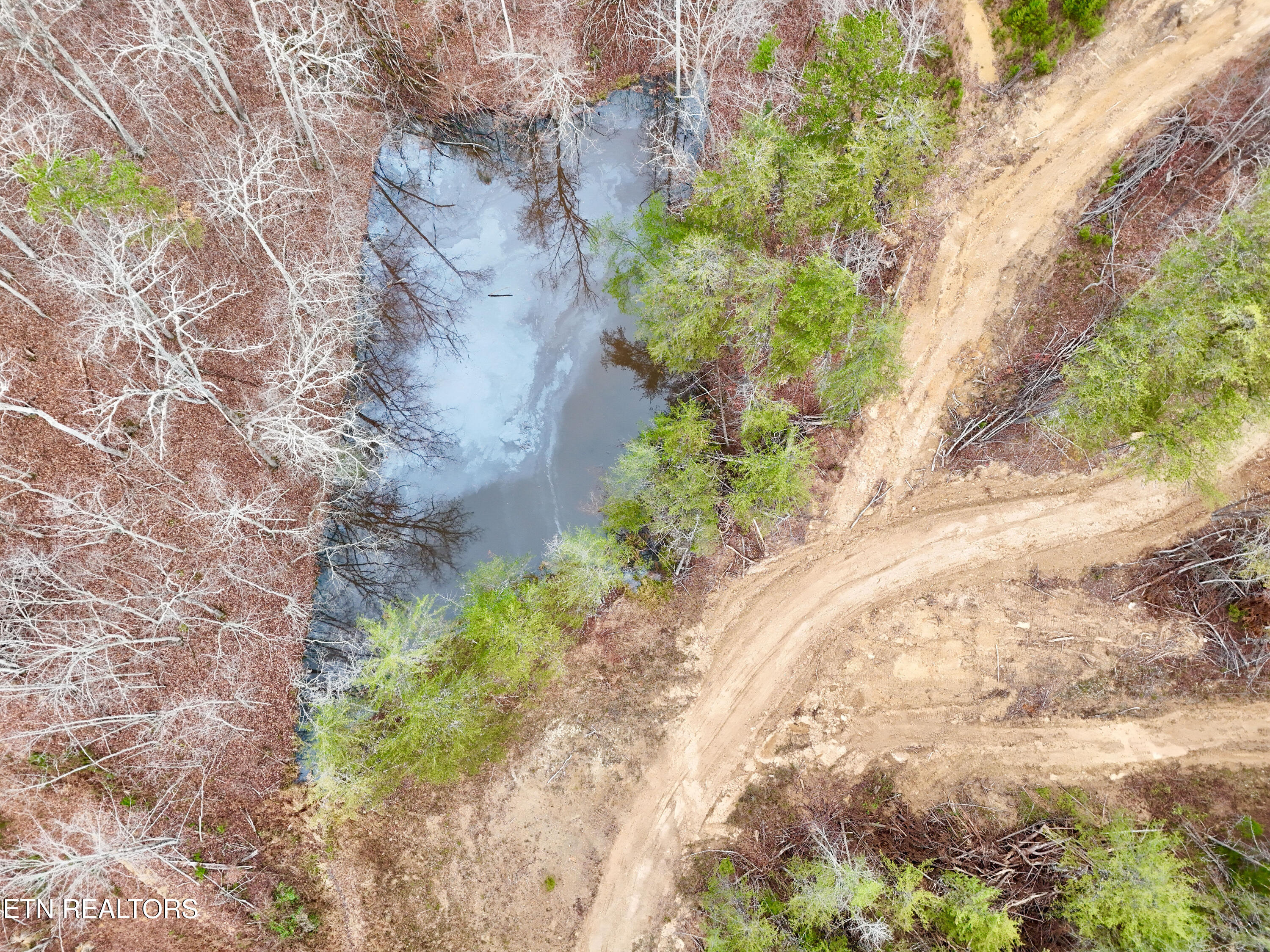 Laurel Bluff Road Kingston TN 37763