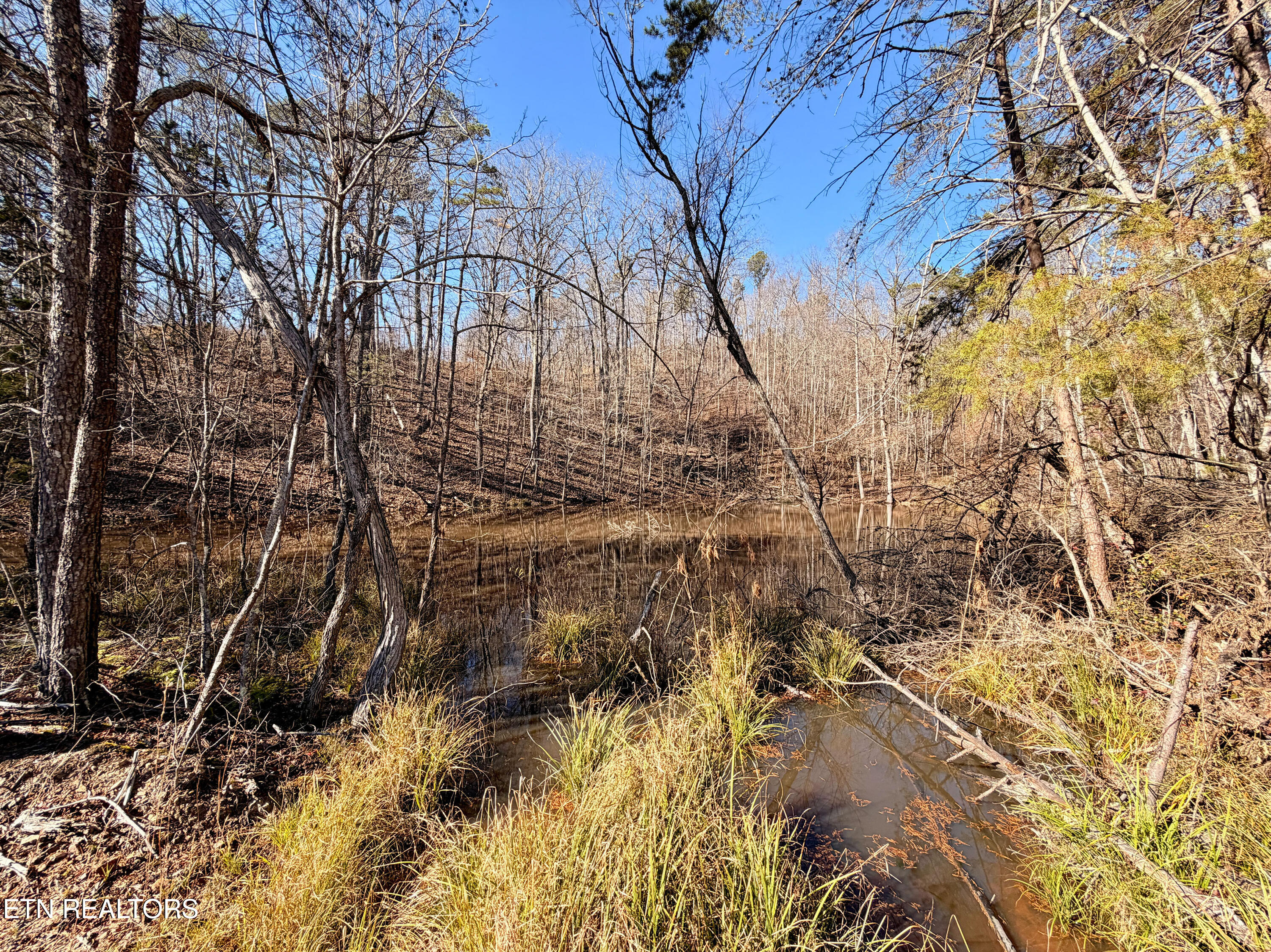 Laurel Bluff Road Kingston TN 37763