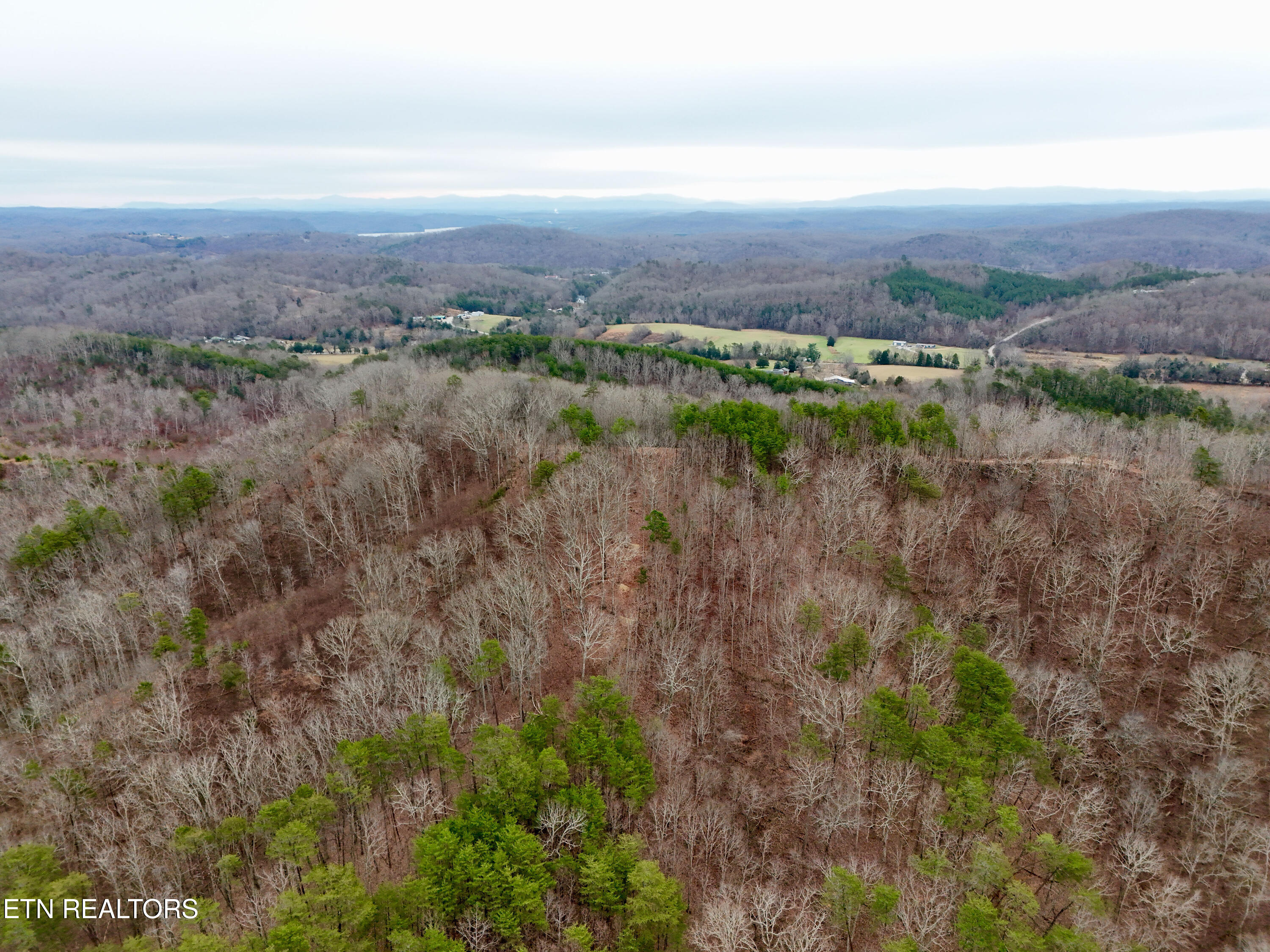 Laurel Bluff Road Kingston TN 37763