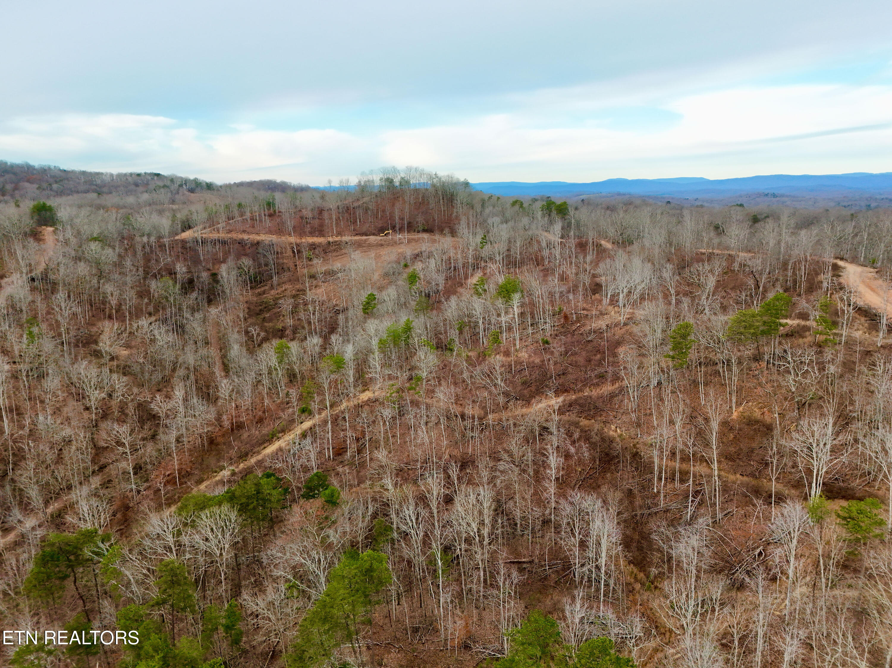 Laurel Bluff Road Kingston TN 37763