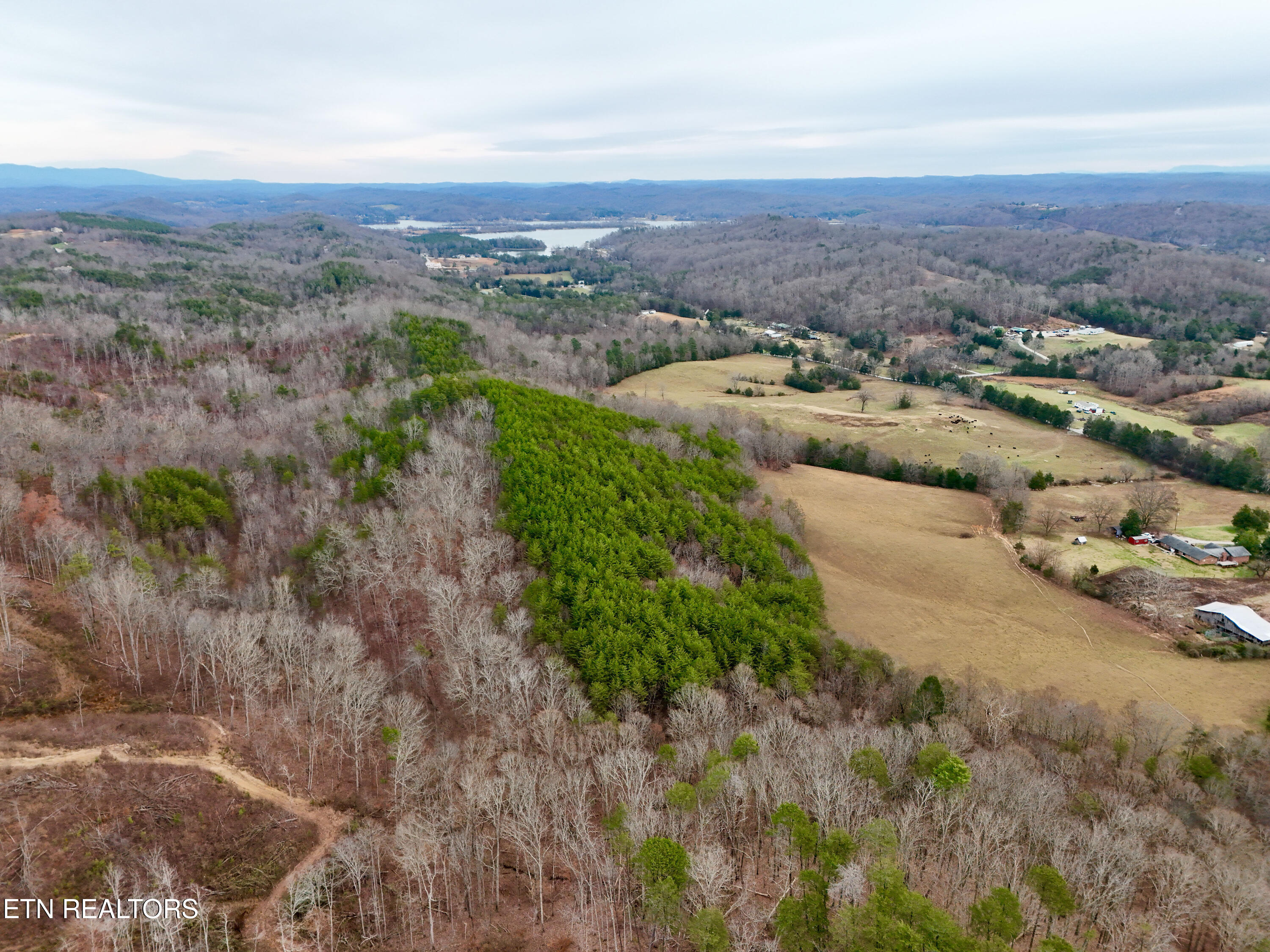 Laurel Bluff Road Kingston TN 37763