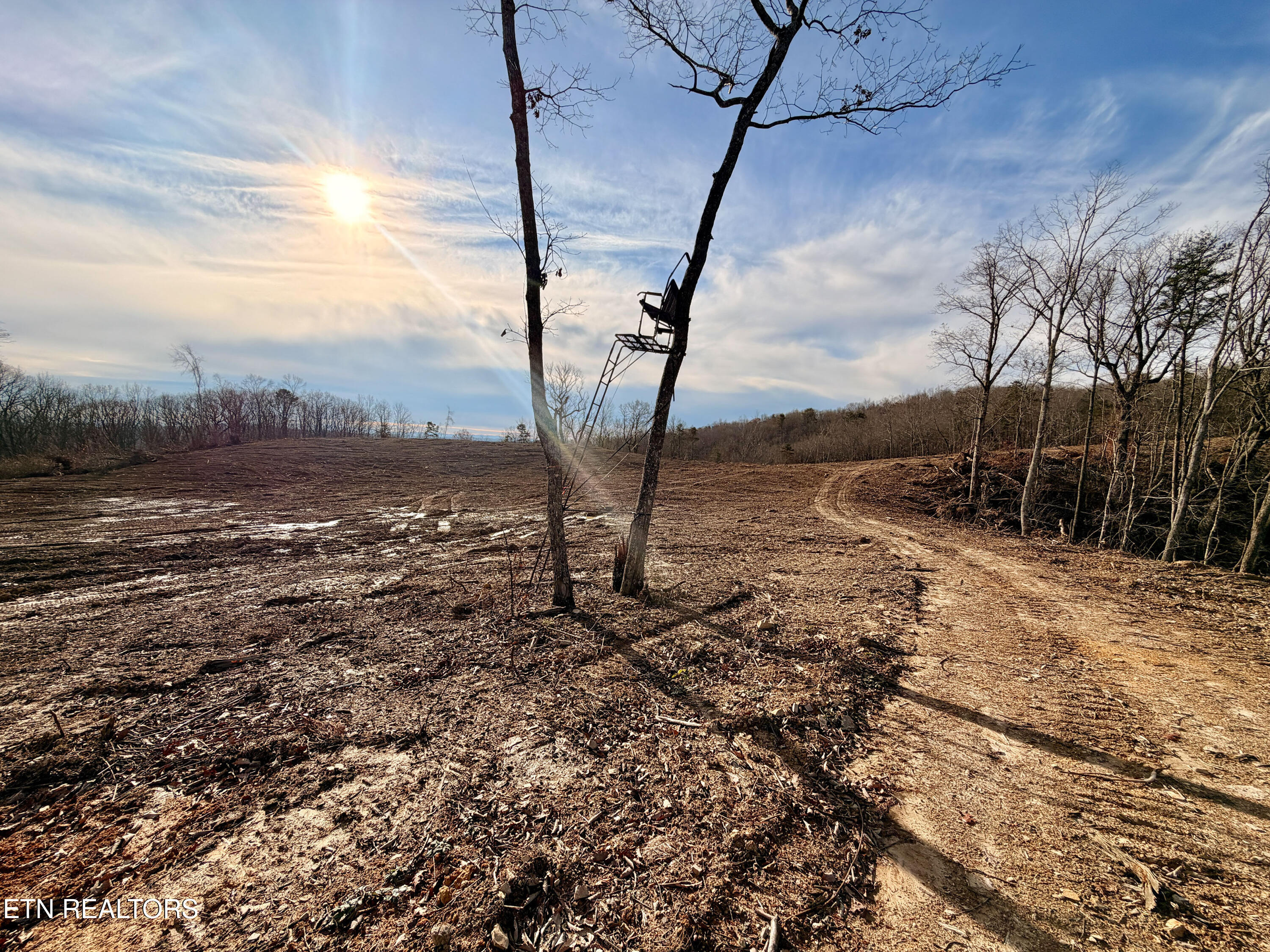 Laurel Bluff Road Kingston TN 37763