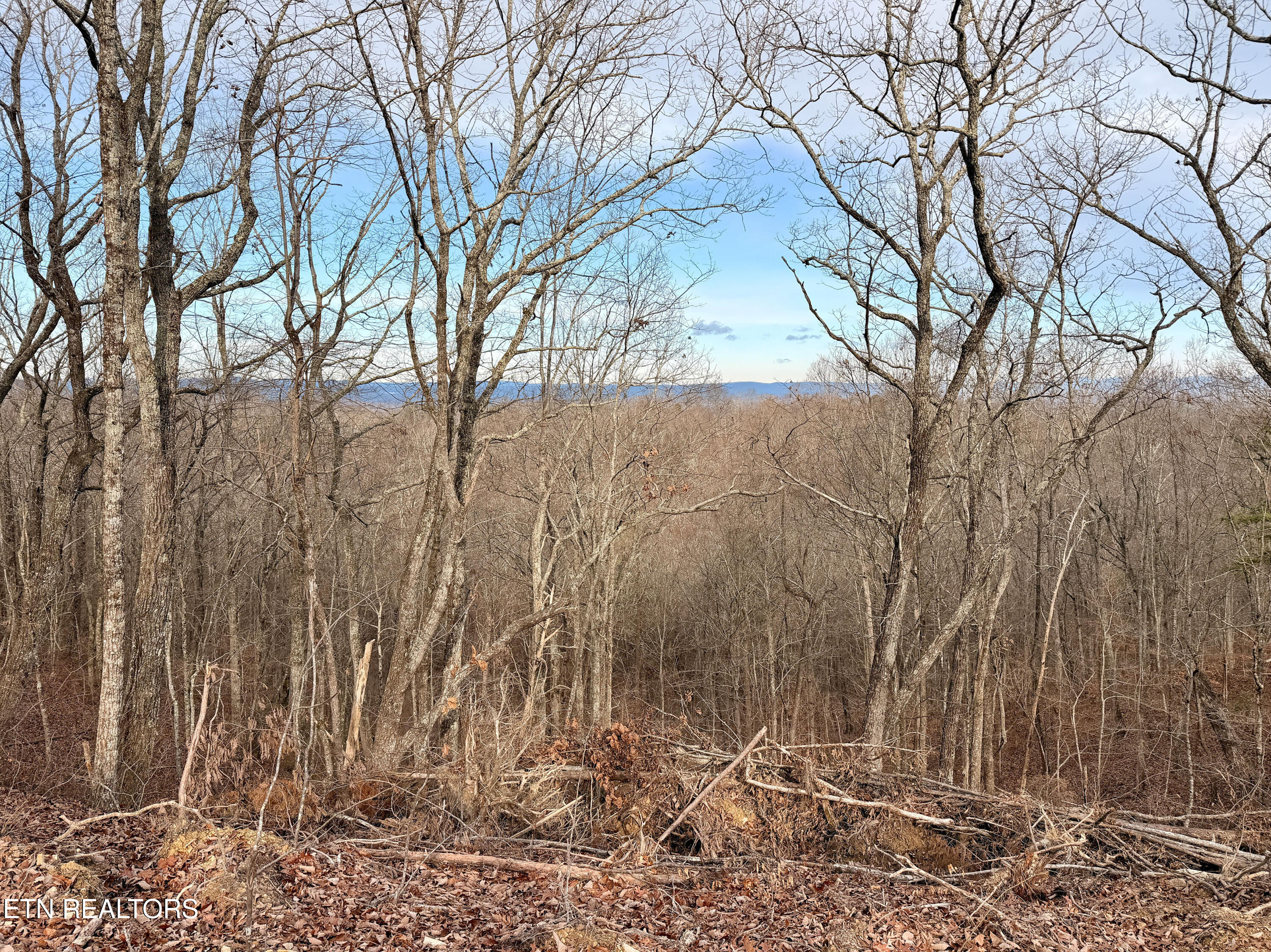 Laurel Bluff Road Kingston TN 37763